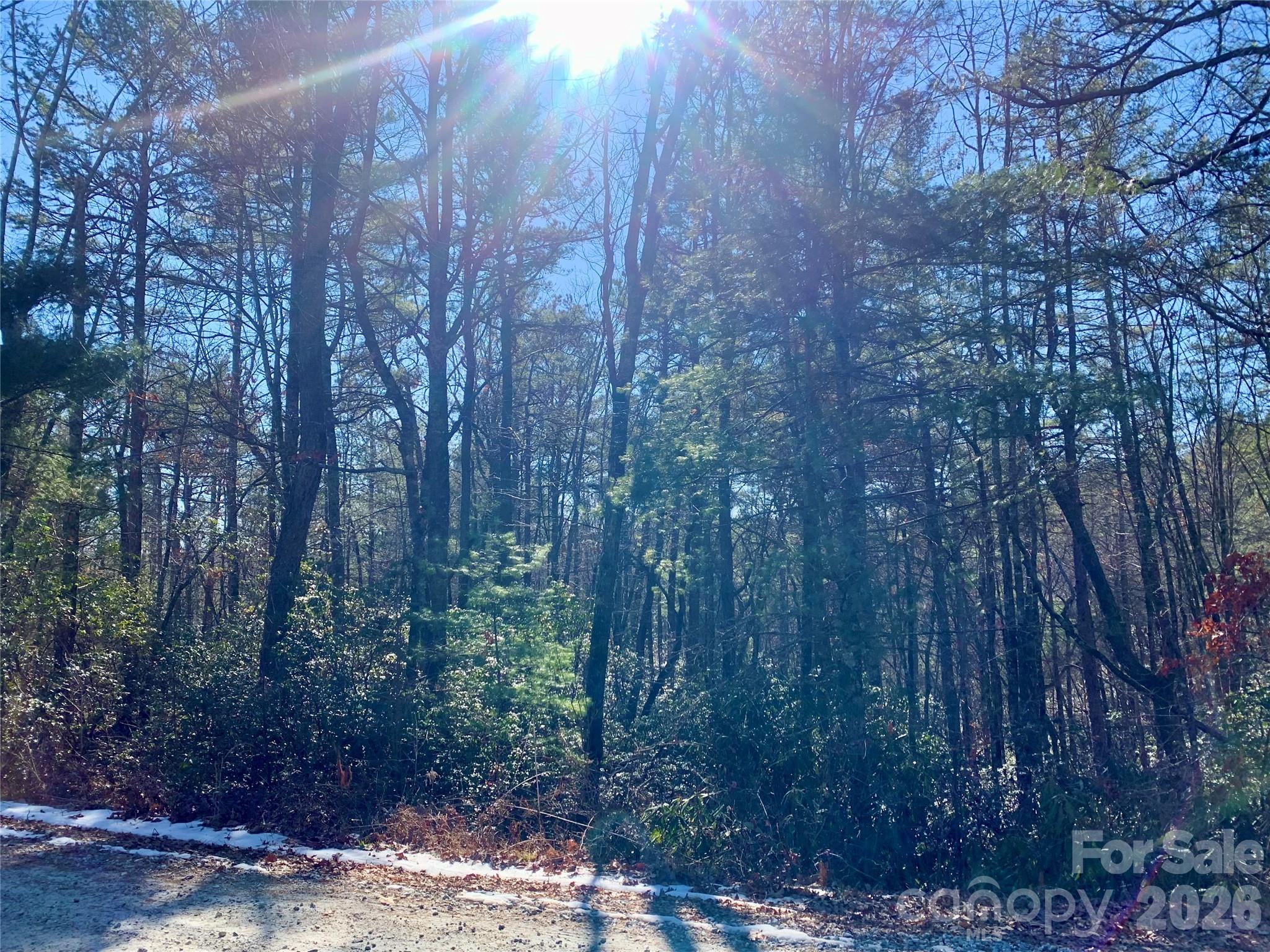 Oak Laurel - Land