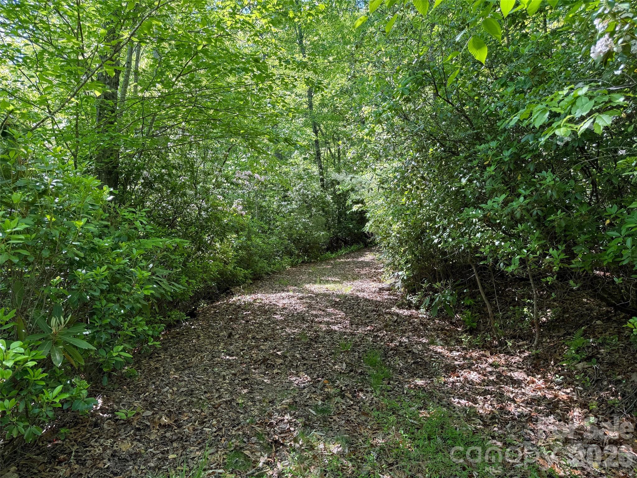 The Reserve - Land