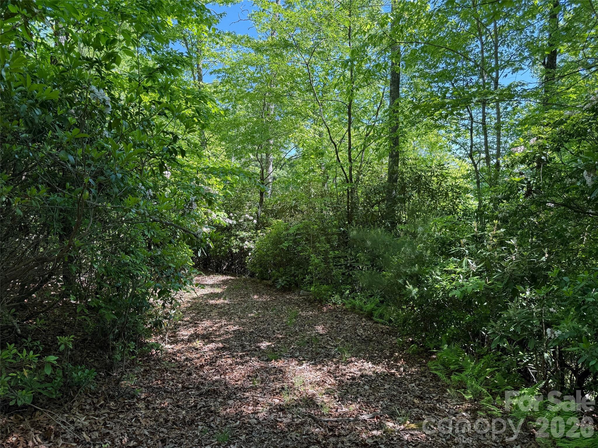 The Reserve - Land