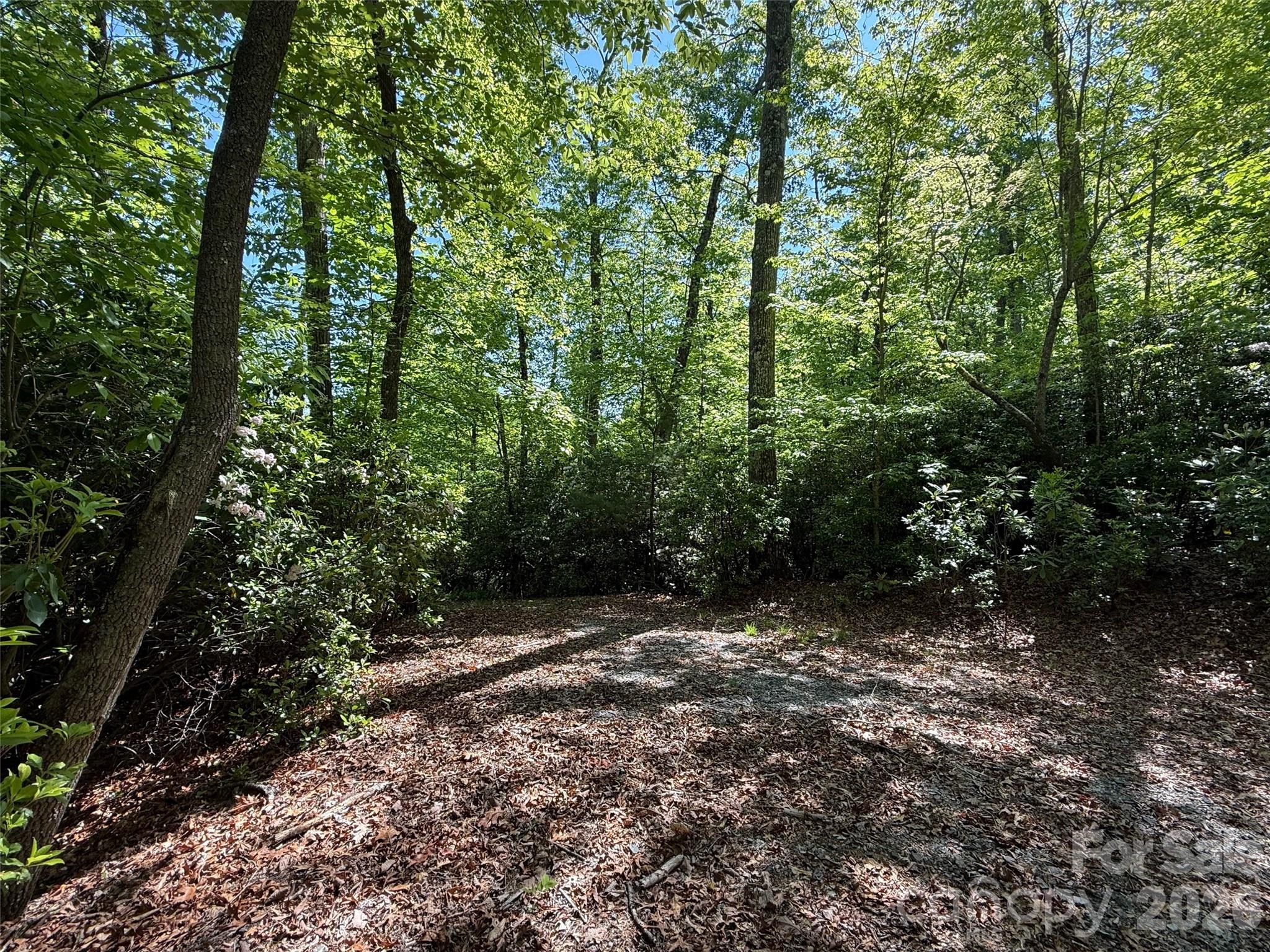 The Reserve - Land