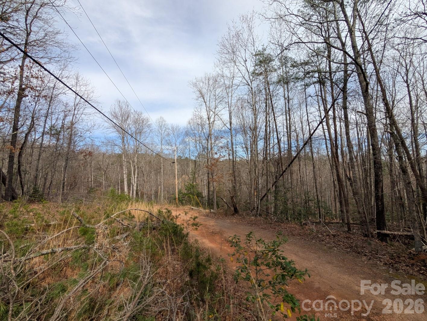 Escape to the Blue Ridge Foothills
Discover the ultimate freedom of unrestricted land in the heart of Burke County. This expansive 9.33-acre property offers the rare combination of total privacy, rolling wooded terrain, and the potential for stunning long-range views. Whether you’re looking to build a custom mountain estate, park an RV, or establish a sustainable homestead, this dual-parcel offering provides the canvas for your vision.
Total Privacy: Nestled at the end of a quiet drive, these two combined parcels ensure your neighbors are the trees and the local wildlife.
Unrestricted Freedom: No HOAs, no restrictive covenants. Bring your tiny home, modular, or custom build—the choice is yours.
Terrain & Views: Gently rolling slopes lead to elevated spots that, with some selective clearing, offer beautiful vistas of the surrounding North Carolina mountains.
Utilities: Power is already available at the property line (as seen in photos), significantly lowering your initial development costs.
Two for One: Sold as a single unit, these two parcels offer flexibility for future resale or the creation of a family compound.
The Best of Both Worlds
While you'll feel miles away from civilization, you are only a short drive from the amenities of Downtown Morganton, the waters of Lake James, and the hiking trails of South Mountains State Park.