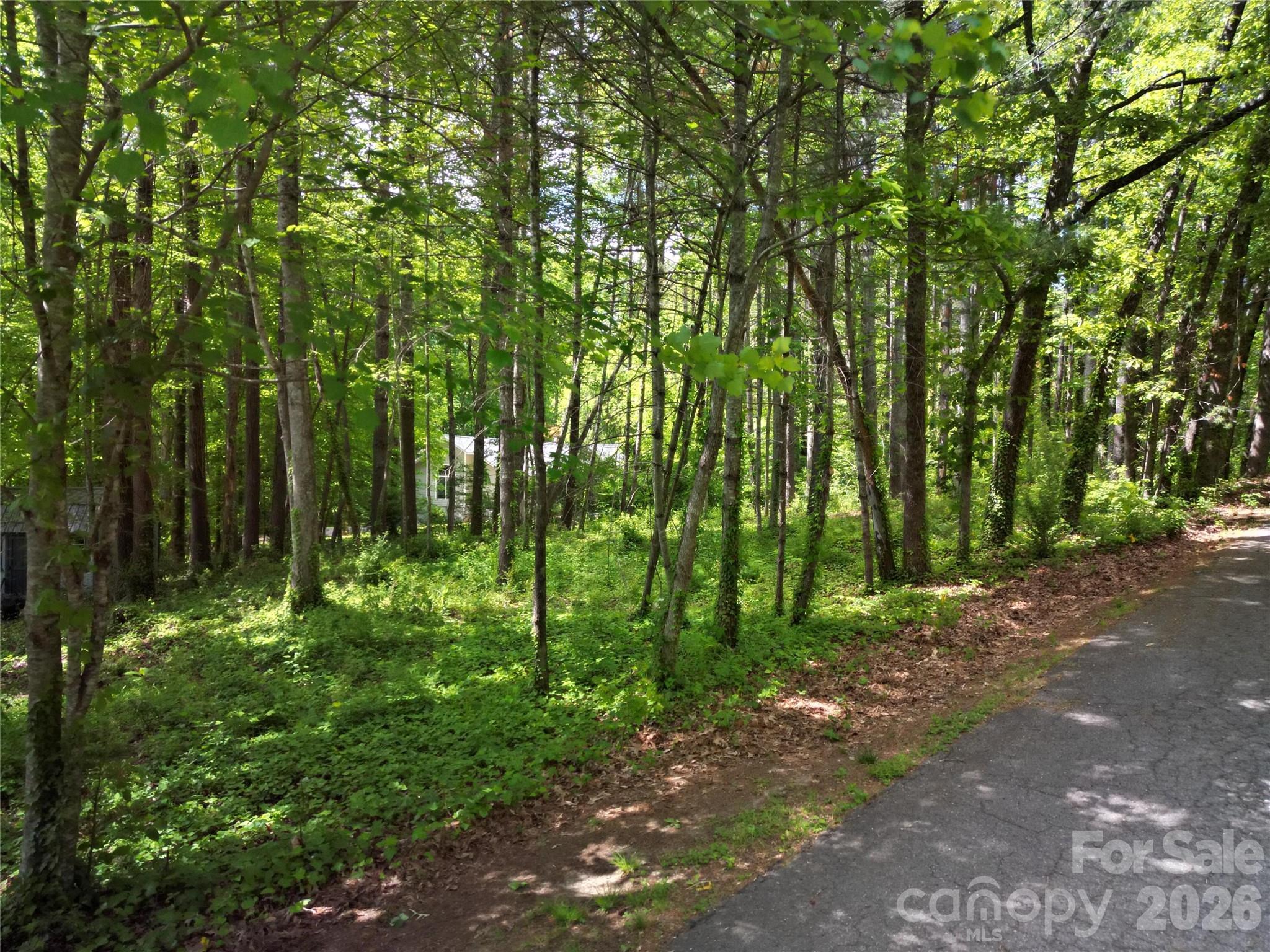 Build your Western North Carolina mountain home on 0.88 quiet, wooded acres in one of Brevard's most peaceful in-town neighborhoods, less than two miles from downtown.
This lot stands apart from typical mountain land in two ways. First, the lot is relatively flat and spacious, which is uncommon in Western North Carolina, where most parcels carry meaningful slope and earthwork costs. Second, a septic permit approved for a four-bedroom home is on file and transferrable to the new owner. A 4-bedroom septic approval is one of the strongest signals available on undeveloped mountain land and gives the buyer real flexibility on home size and layout.
The setting is what brings people to Brevard. Mature hardwood canopy. A quiet street with established neighboring homes. Half mile to new Ecusta Trailhead once completed. Walk to Brevard Health & Racquet Club!