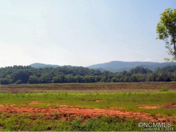 Beautiful mountain view home site at Waters Edge in Etowah. Pastoral setting with year round mountain views. Paved streets and city water available. House plans must be approved by the developer. Owner Financing possible to qualified buyers. Call Listing Agent for details.