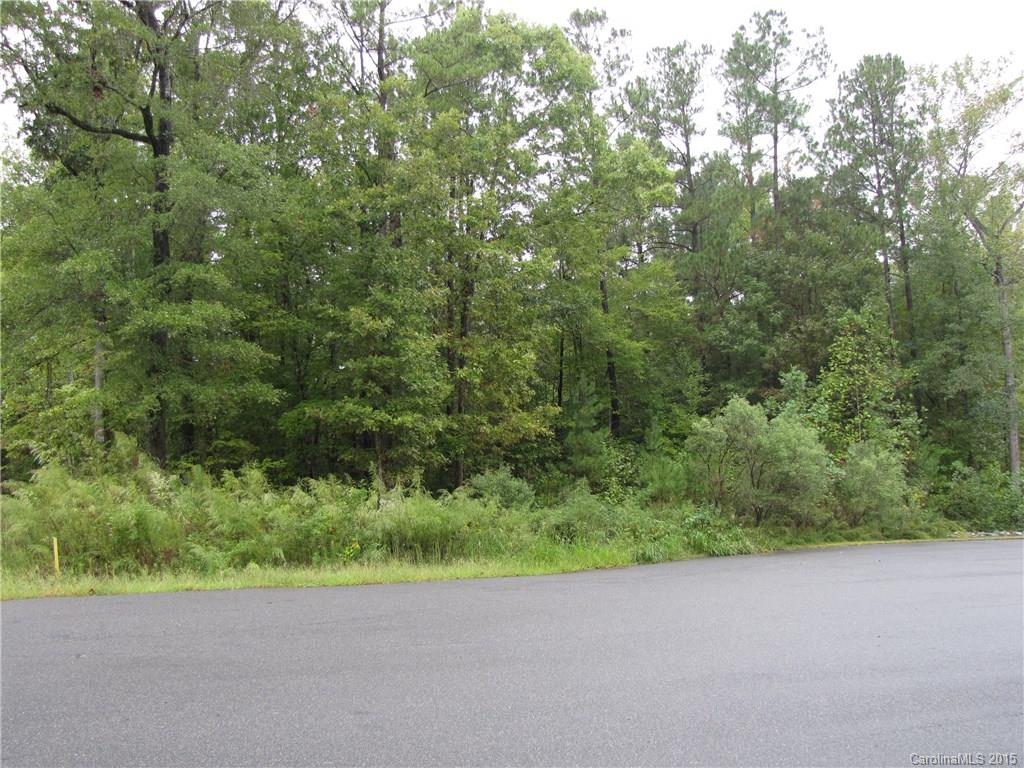 Beautiful, wooded cul-de-sac lot in Fort Mill estate neighborhood. Few opportunities left to build in Phase 1 of this upscale neighborhood of fine custom homes. Easy access to Springfield Pkwy and 77 once Bypass is completed. 10 minutes to Ballantyne via Hwy 521.