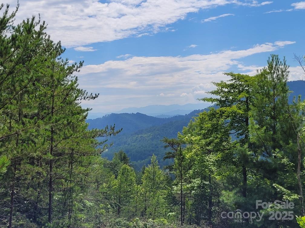Oconee Falls - Land