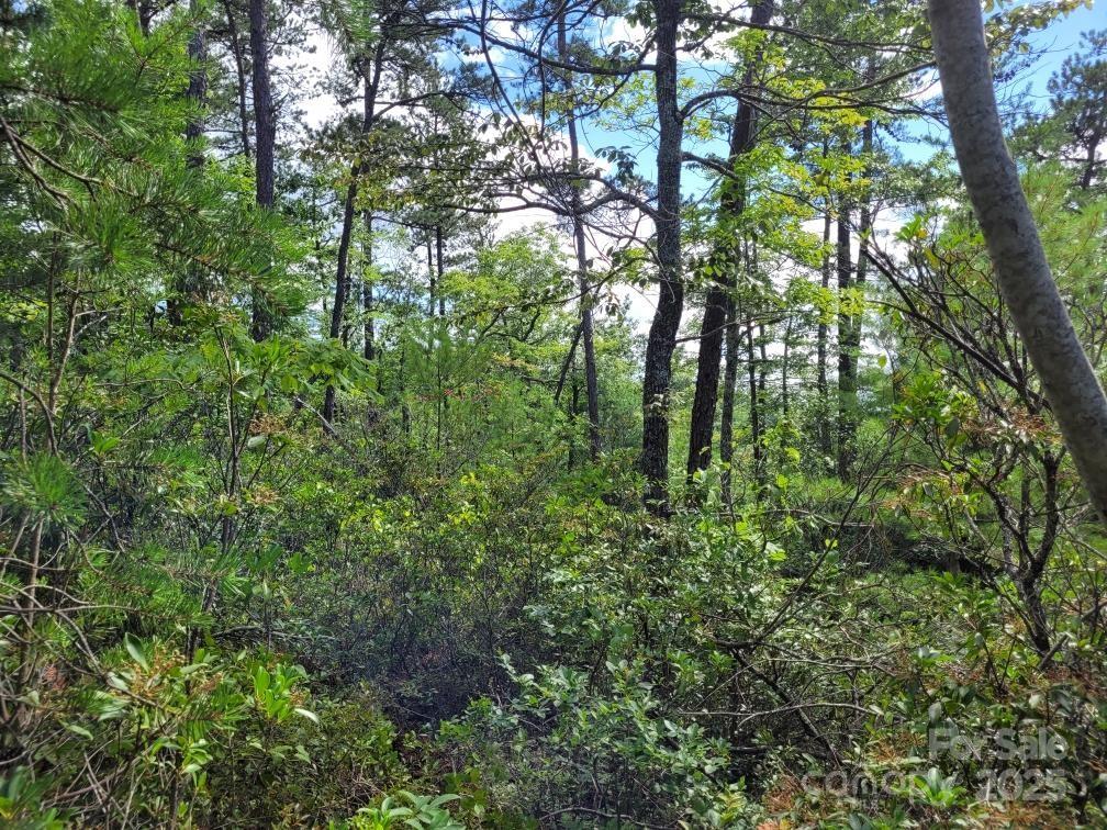 Oconee Falls - Land