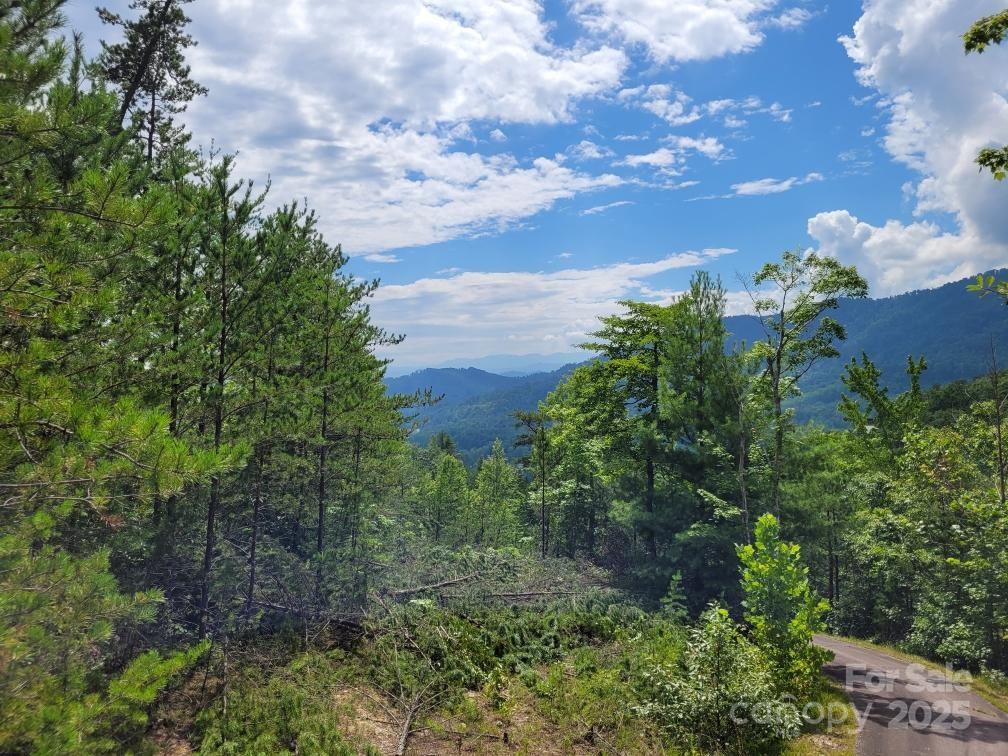Oconee Falls - Land