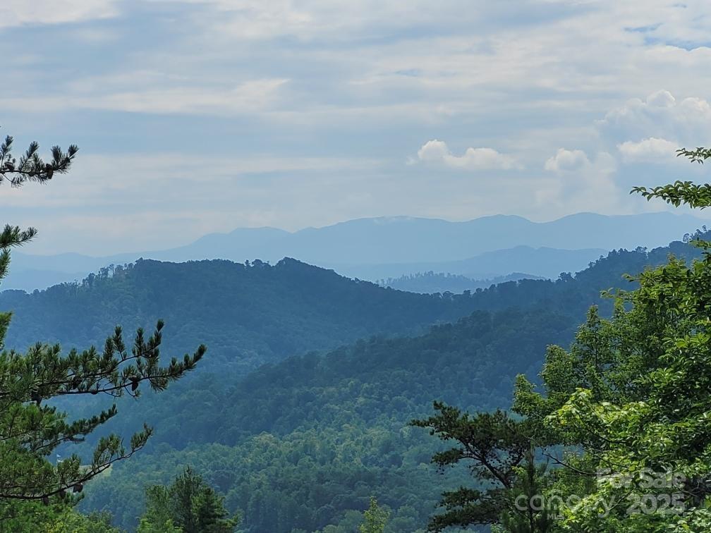 Price improved!! Stunning long range mountain views with the soothing sounds of Pond Branch Creek!! Nearly 7 acres with a level build site that has year round views of the iconic Black Mountains, the highest elevations in the eastern United States. Trim a few more trees and you'll have sweeping mountain views. This property features two water sources, including frontage along Pond Branch Creek and an installed well. With the potential to accommodate up to four homes, it’s perfect for a private estate or investment opportunity. Set within the quiet, Oconee Falls gated community, this parcel offers both seclusion and convenience. A rare gem priced to sell, don't miss your chance to build in one of Western North Carolina’s most scenic regions.
Located just 10 minutes from Linville Falls, the Blue Ridge Parkway, and Linville Falls Winery, 40 minutes to ski resorts, and 50 minutes to Boone.