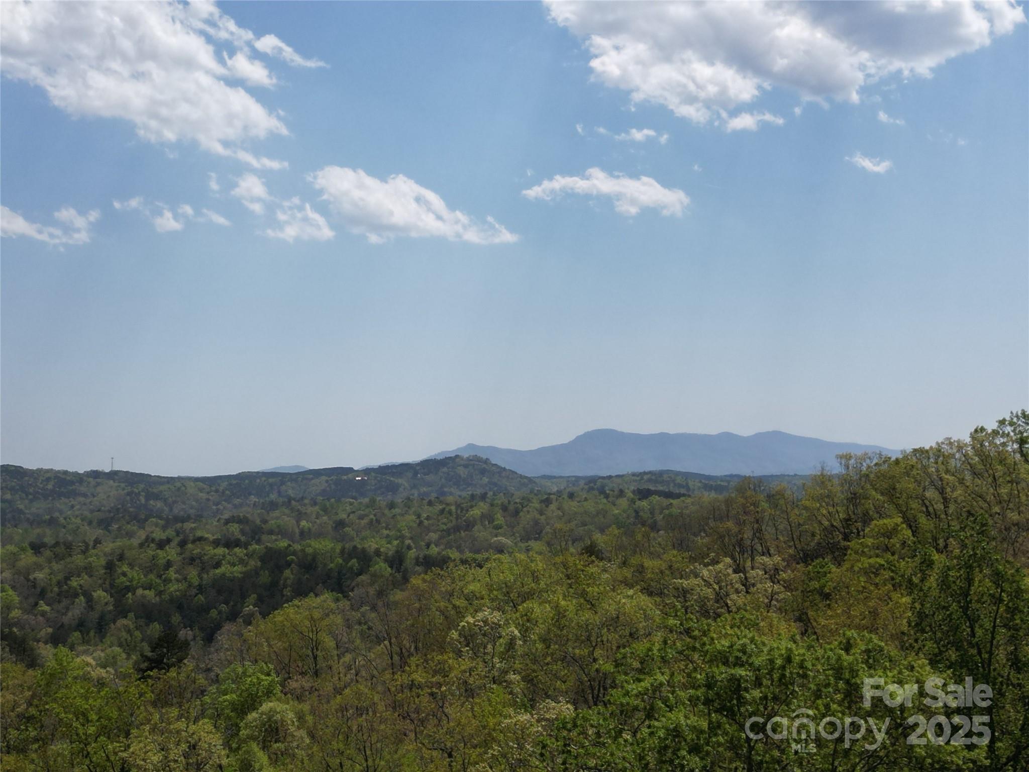 Rumbling Bald on Lake Lure - Land