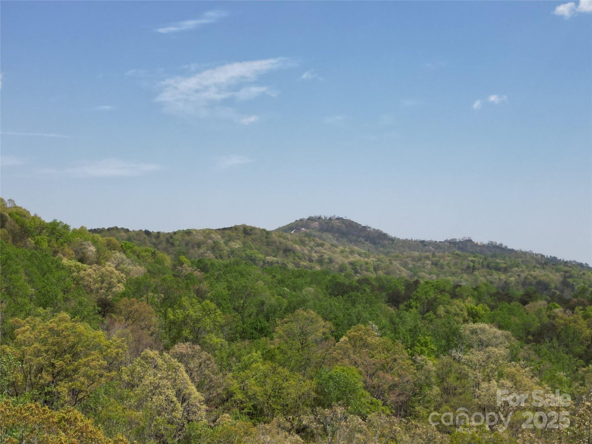 Rumbling Bald on Lake Lure - Land