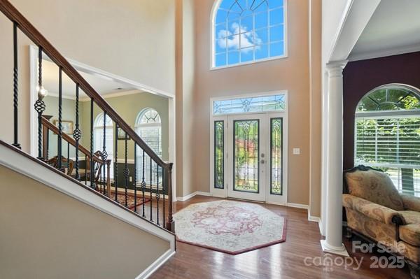 Rosemont - Residential