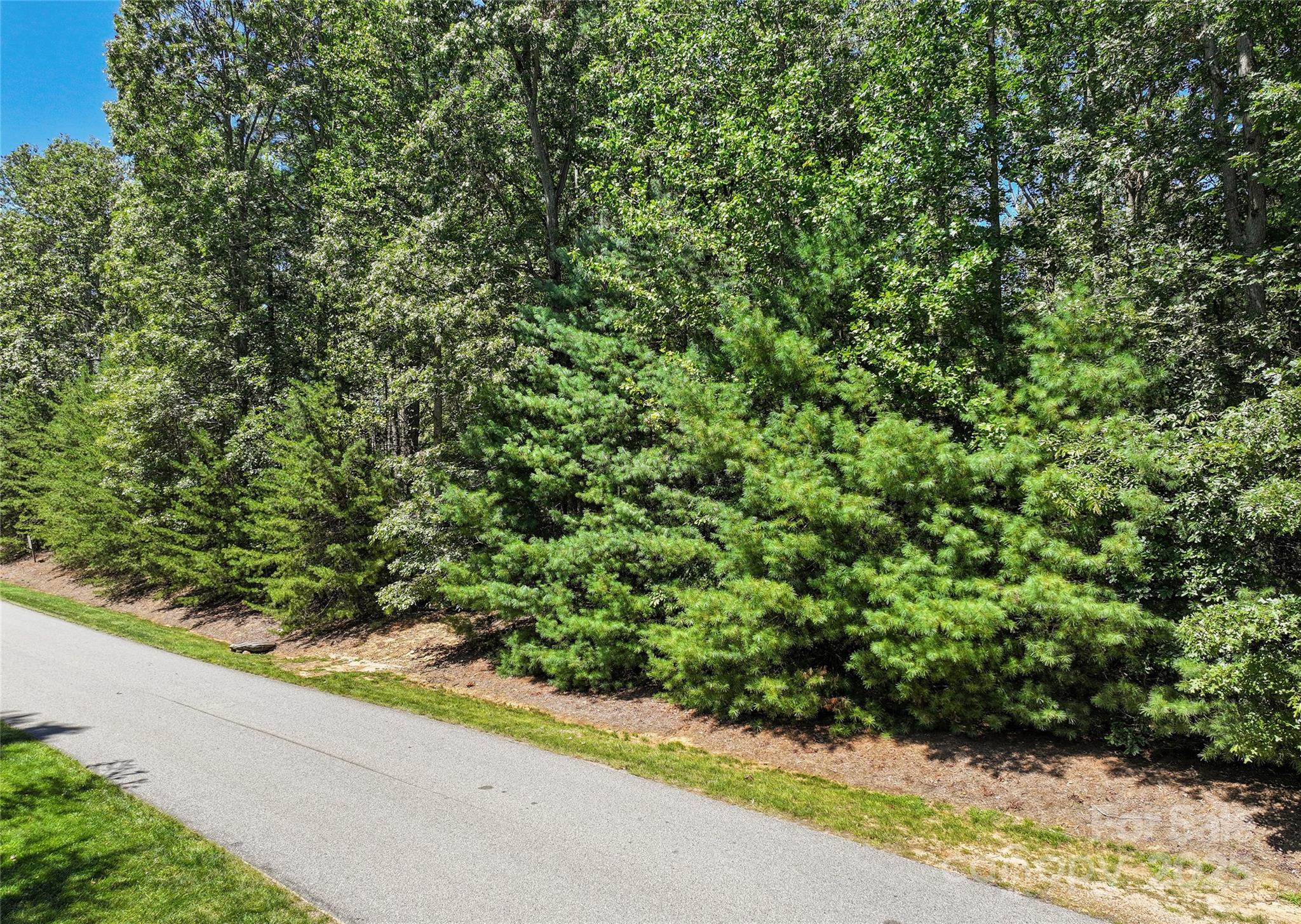 Ramble Biltmore Forest - Land