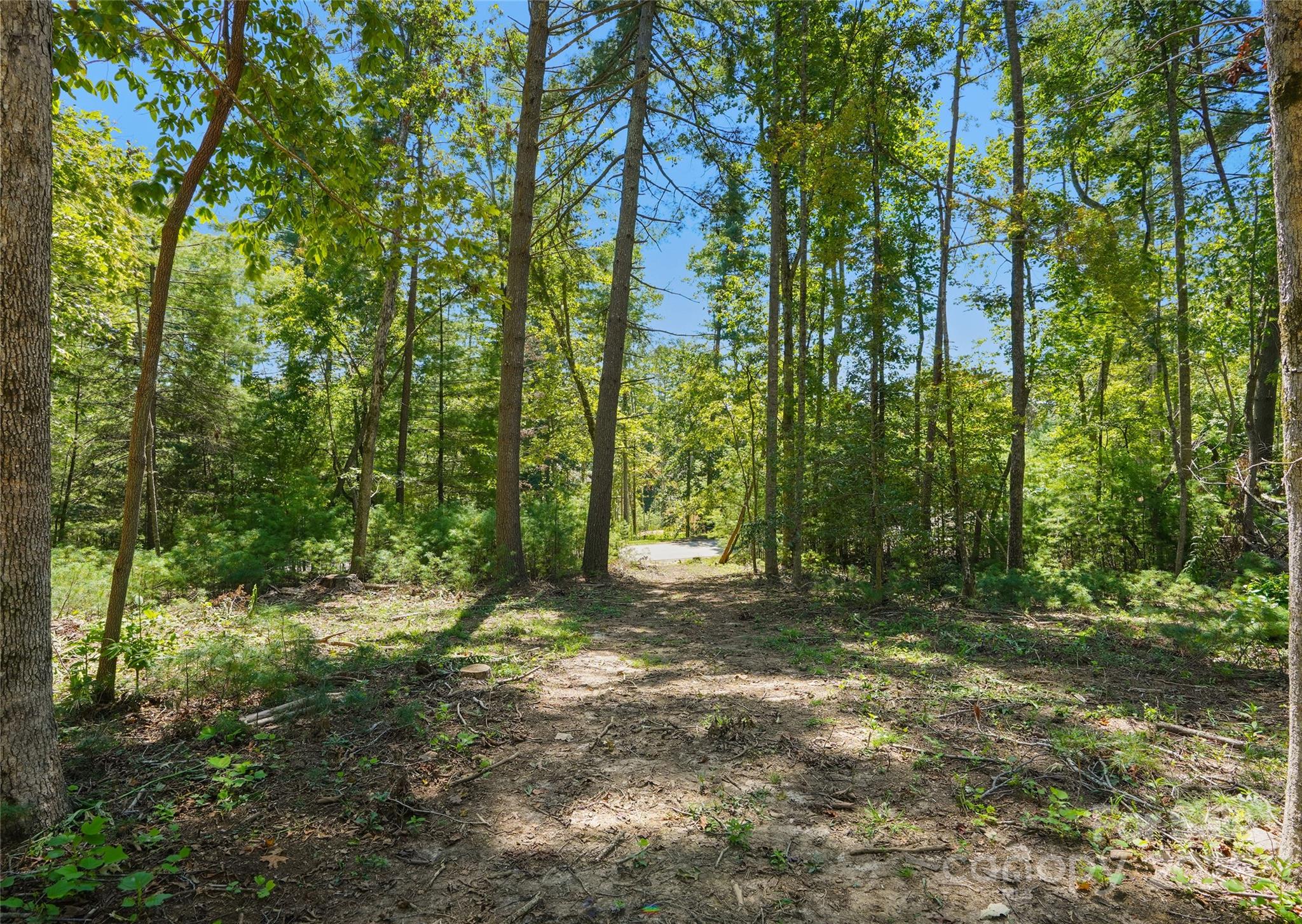 Ramble Biltmore Forest - Land