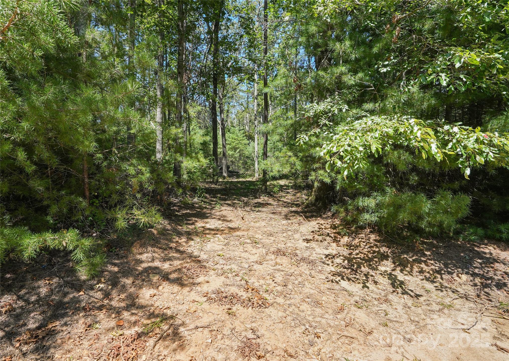 Ramble Biltmore Forest - Land