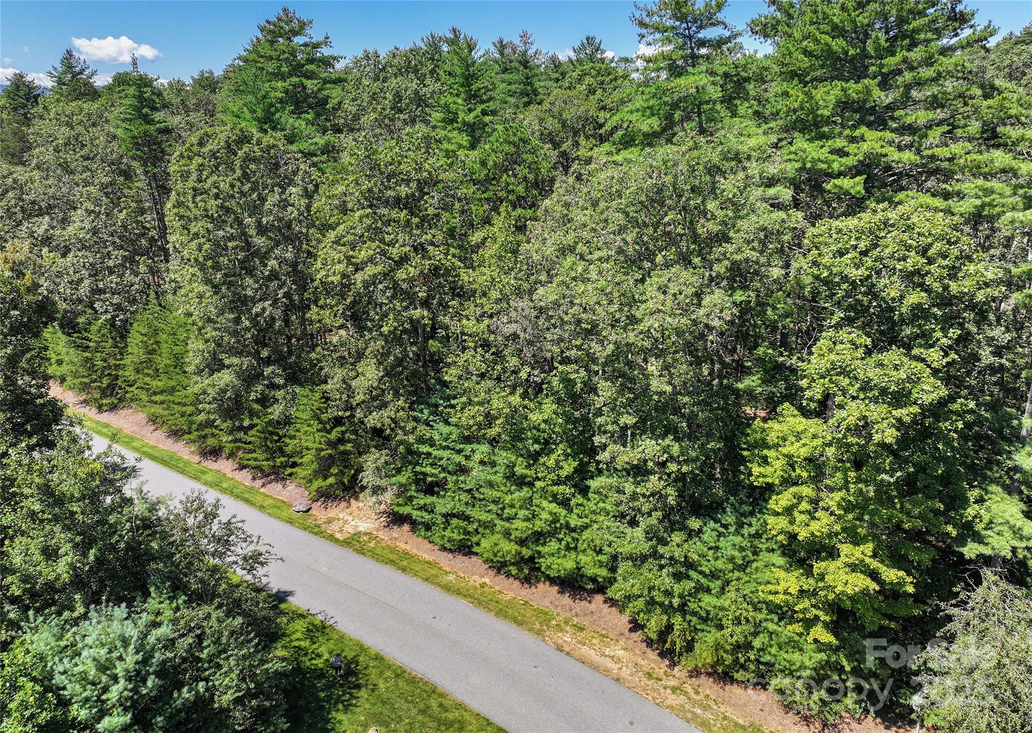 Ramble Biltmore Forest - Land
