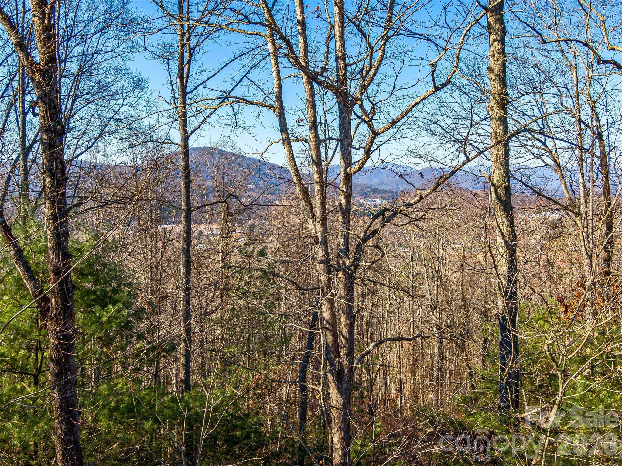 Crest Mountain - Land