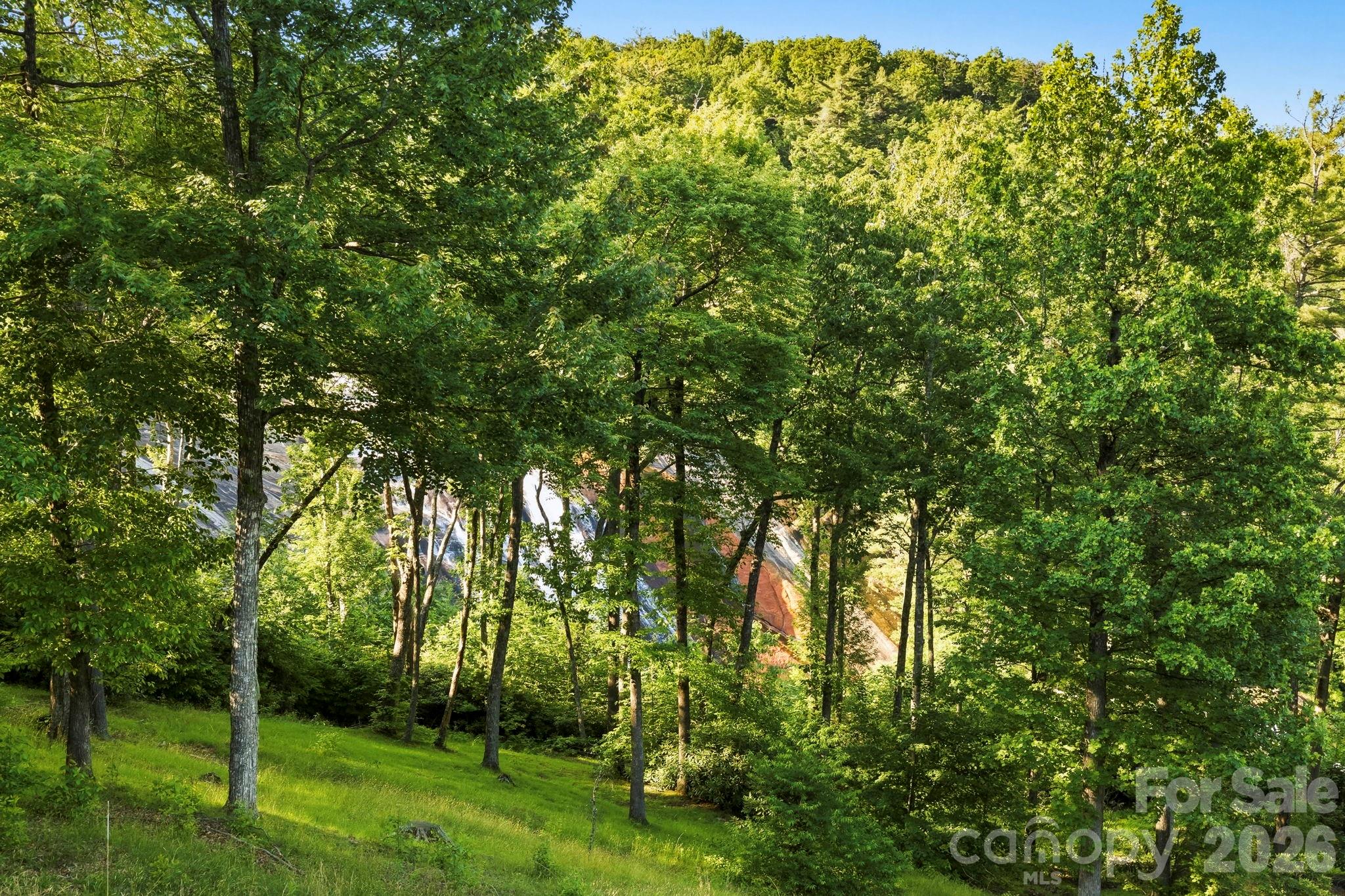 Toxaway Falls Condominium - Residential