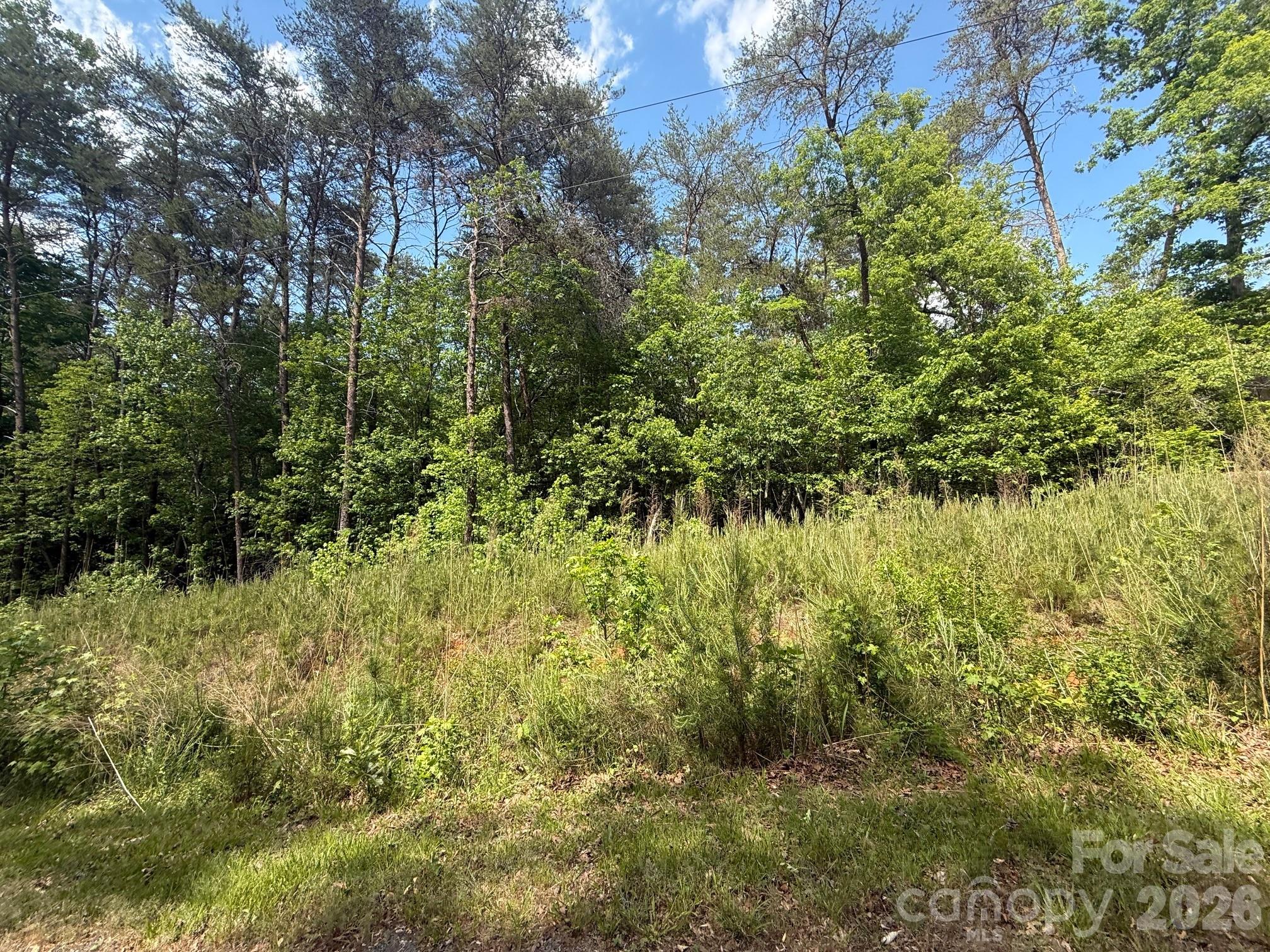 Build your dream retreat on this wooded 0.34-acre lot in the secure, gated community of Carolina Forest. Nestled in the heart of the Uwharrie region, this lot offers a peaceful, natural setting surrounded by mature trees and a quiet, scenic landscape. Full access to amenities including a clubhouse, a swimming pool, a playground, and private boat launch access and docks on Lake Tillery. Whether you are planning to build a permanent home or a weekend getaway, you will be just minutes from river boating, fishing, and outdoor exploring, while still being an easy drive to town. Don’t miss this great opportunity to own a piece of the lake life!