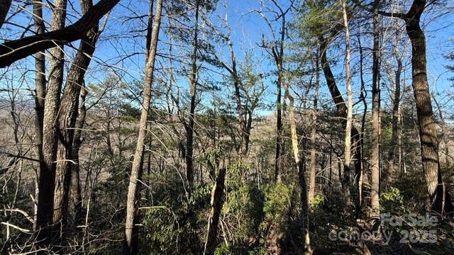 Riverbend at Lake Lure - Land