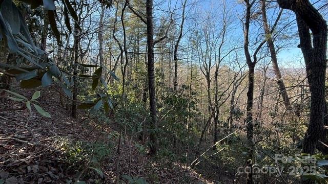 Riverbend at Lake Lure - Land