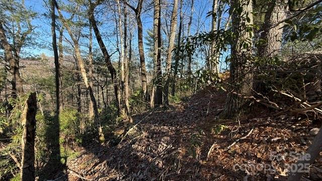 Riverbend at Lake Lure - Land