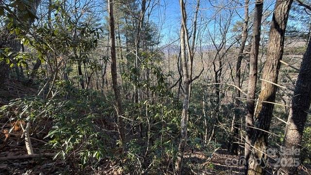 Riverbend at Lake Lure - Land
