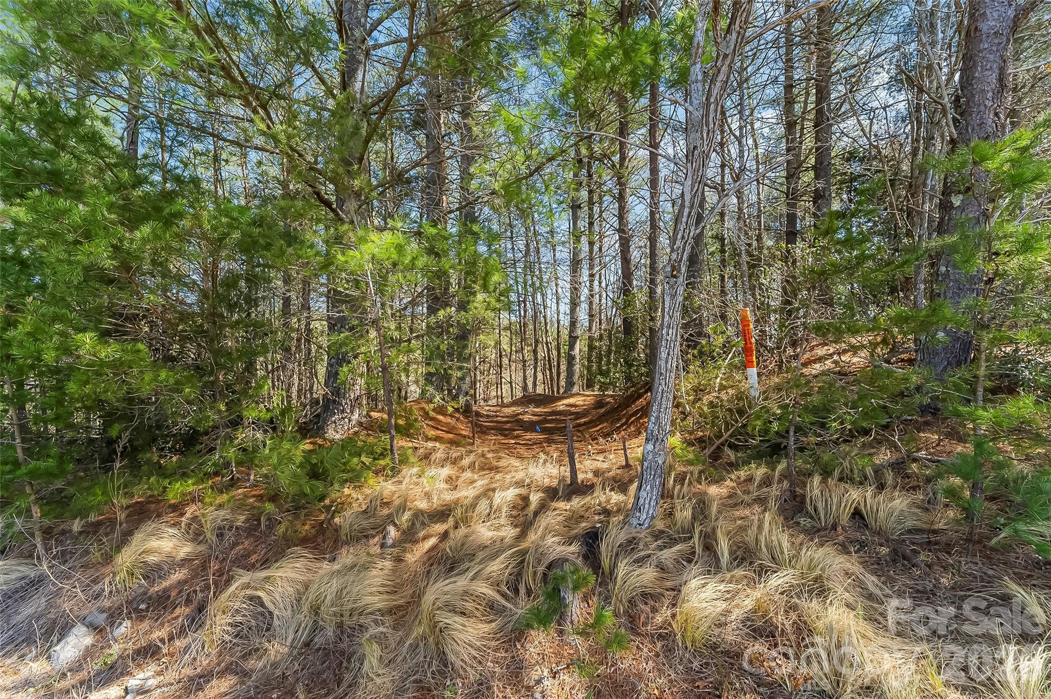 Bear Cliff - Land