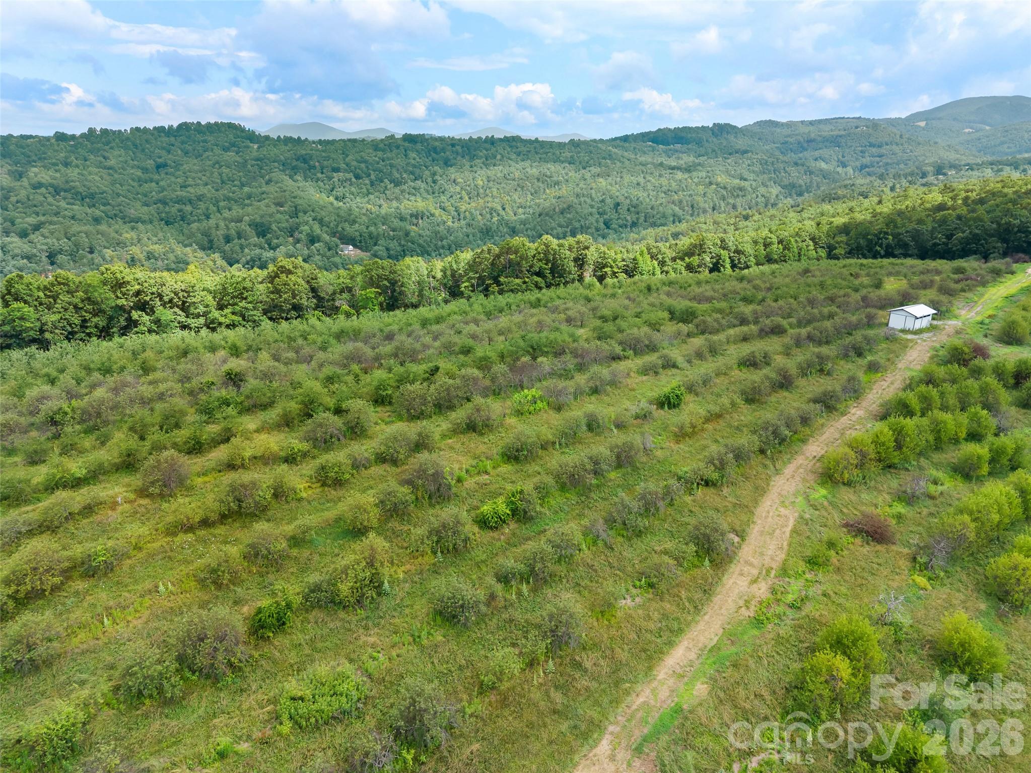 15 acres with views, privacy, and potential.  This orchard can be converted into your 15 acre estate, farm, homestead, multi-family compound or vacation retreat.  Easy laying land provides multiple building sites.  The right hand corner of the property has a small spring head.  A new gravel road and graded dirt road adds to the ease of accessing the property.  Please use the virtual tour link to get an understanding of the lot and see the beauty of the land.   This property does have a deed restriction for no mobile homes or on-frame modulars.  Additional lots adjacent to this property are also for sale.  MLS 4400605 and MLS 4400435