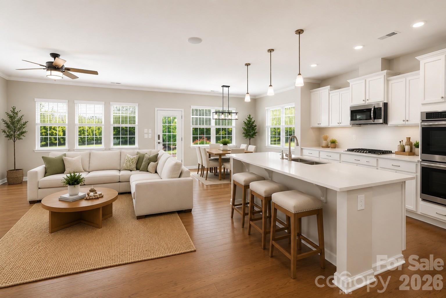 Imagery on Mtn Island - Residential