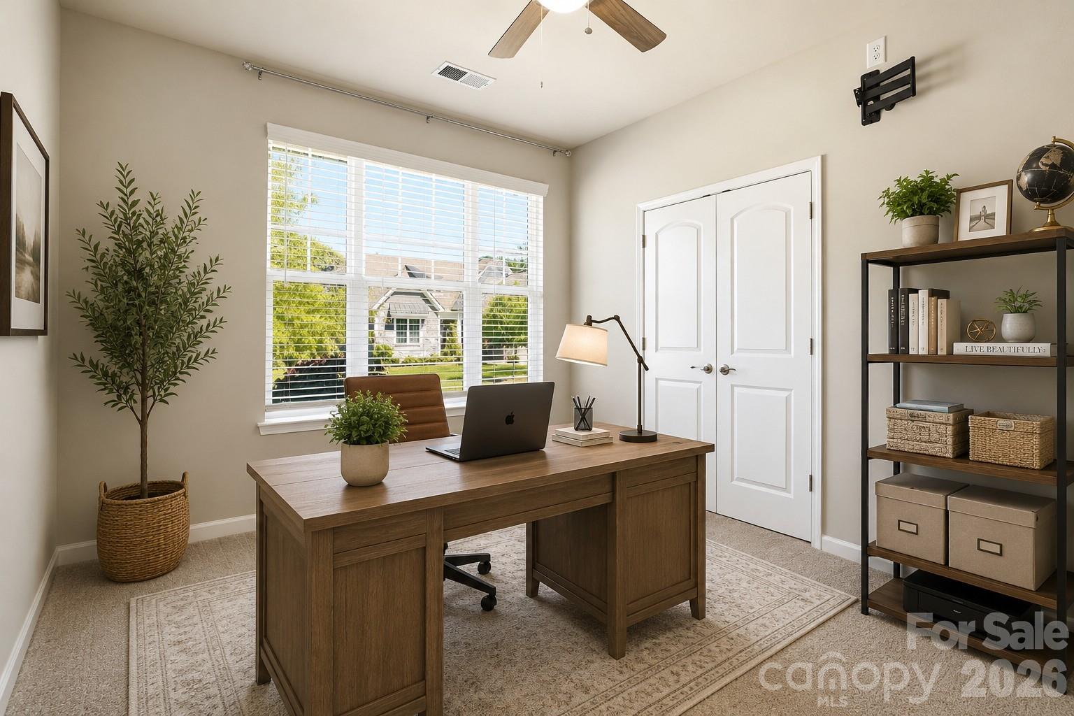 Imagery on Mtn Island - Residential