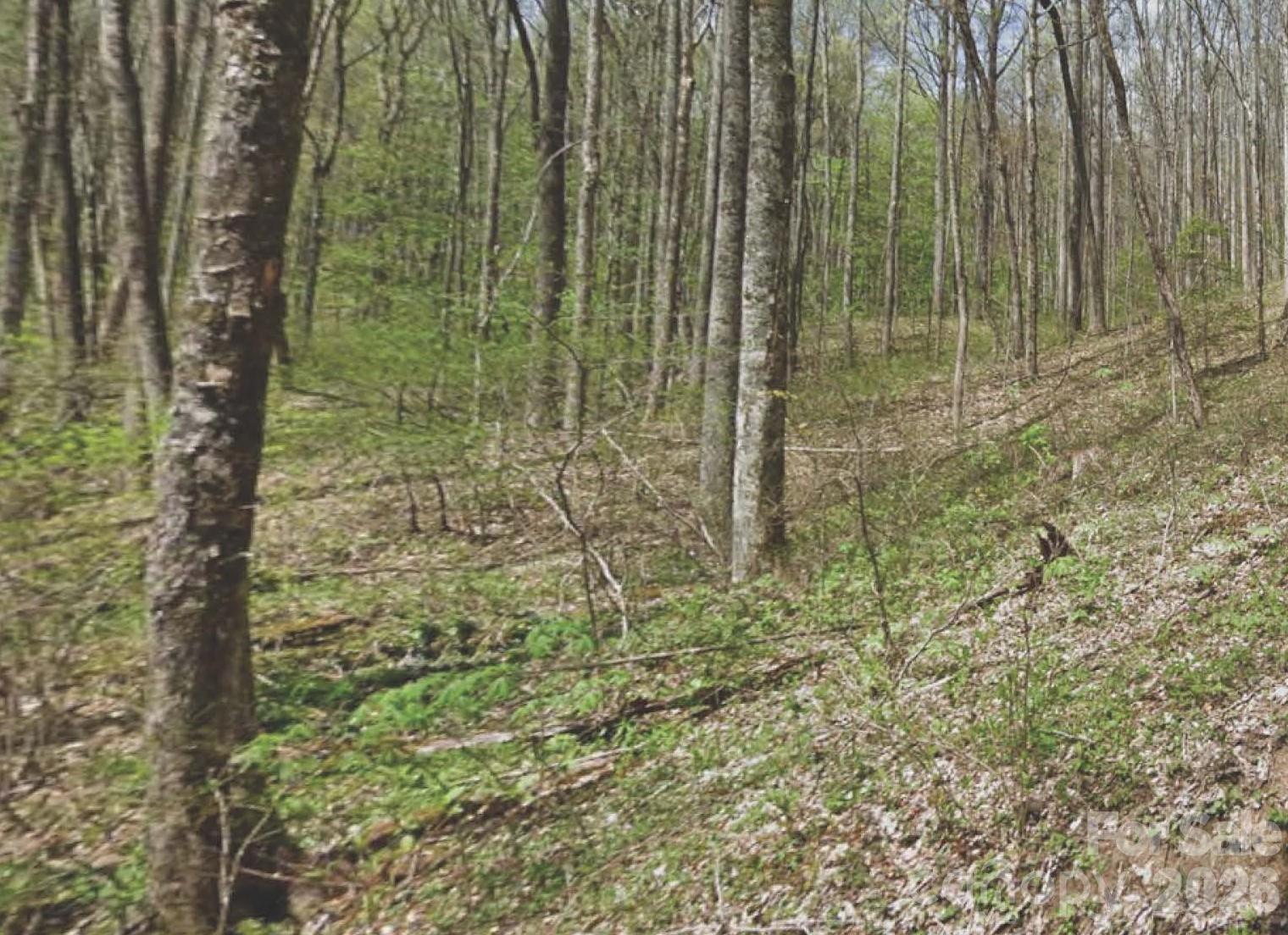 Discover the perfect mountain homesite in this quiet Waynesville subdivision. This 1.1-acre, east-facing lot offers gentle topography ideal for building, with long-range views overlooking the beautiful Cataloochee Valley. Enjoy peaceful mornings with sunrise light and cool mountain breezes, all while being tucked away in a serene setting. The gently sloping terrain provides excellent build flexibility for a variety of home designs. Convenient to Waynesville yet removed from the noise, this property offers the ideal balance of privacy, views, and accessibility—an exceptional opportunity to create your mountain retreat.