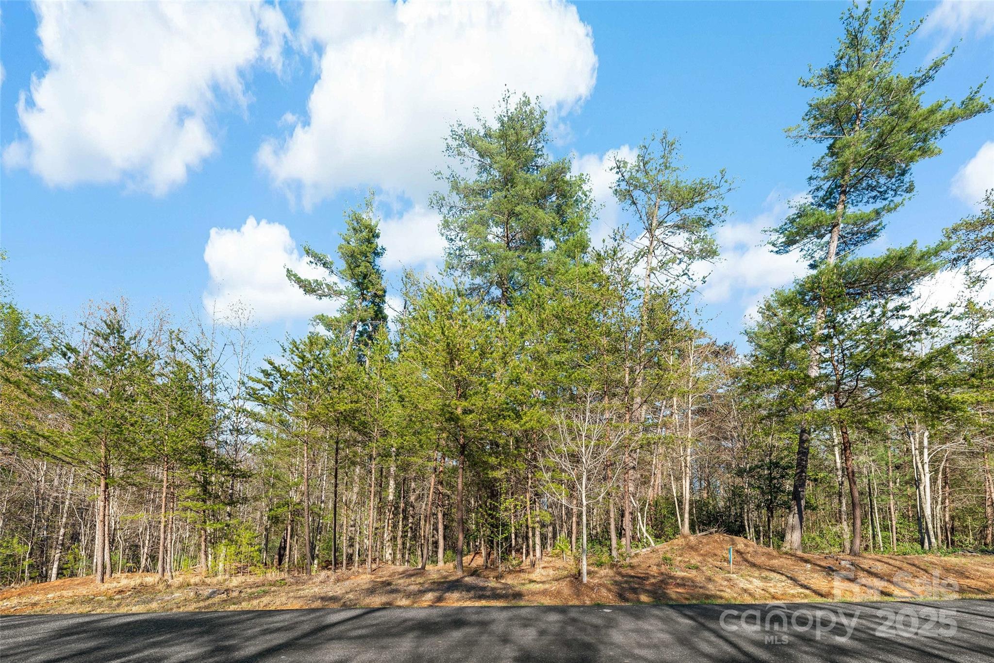 The Arbor at Lake James - Land