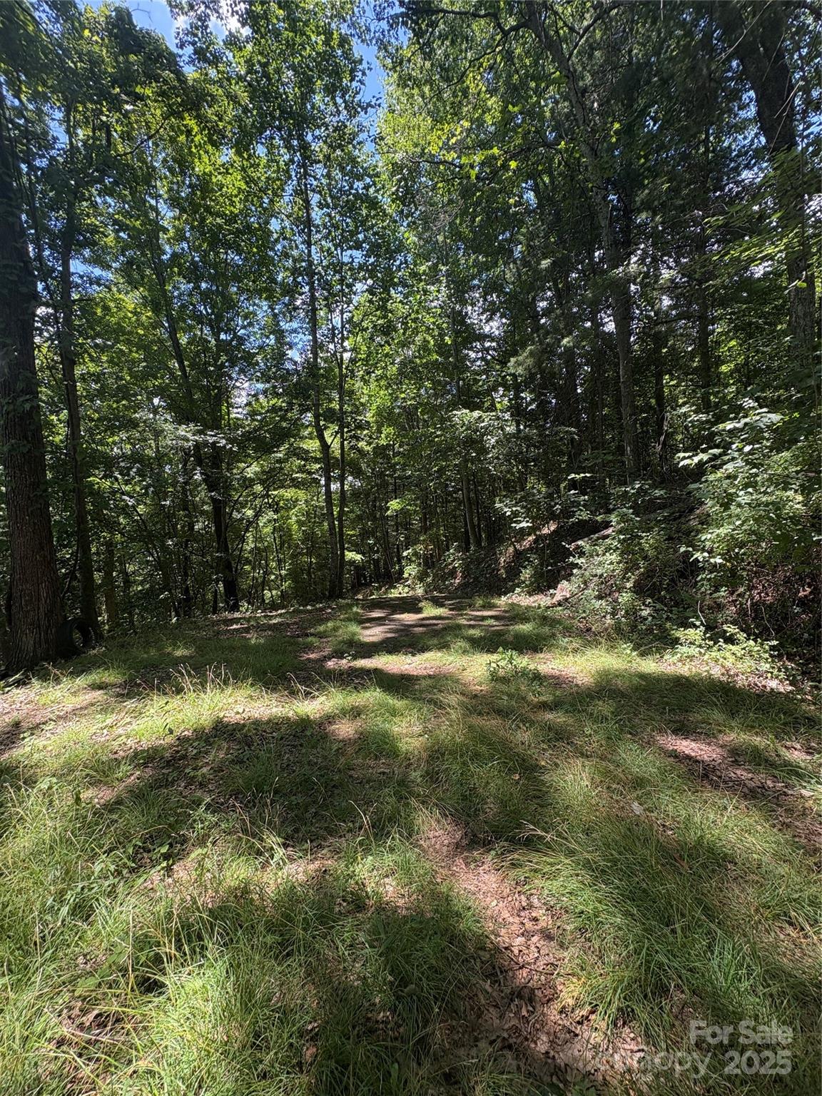 Wheeler Hills - Land