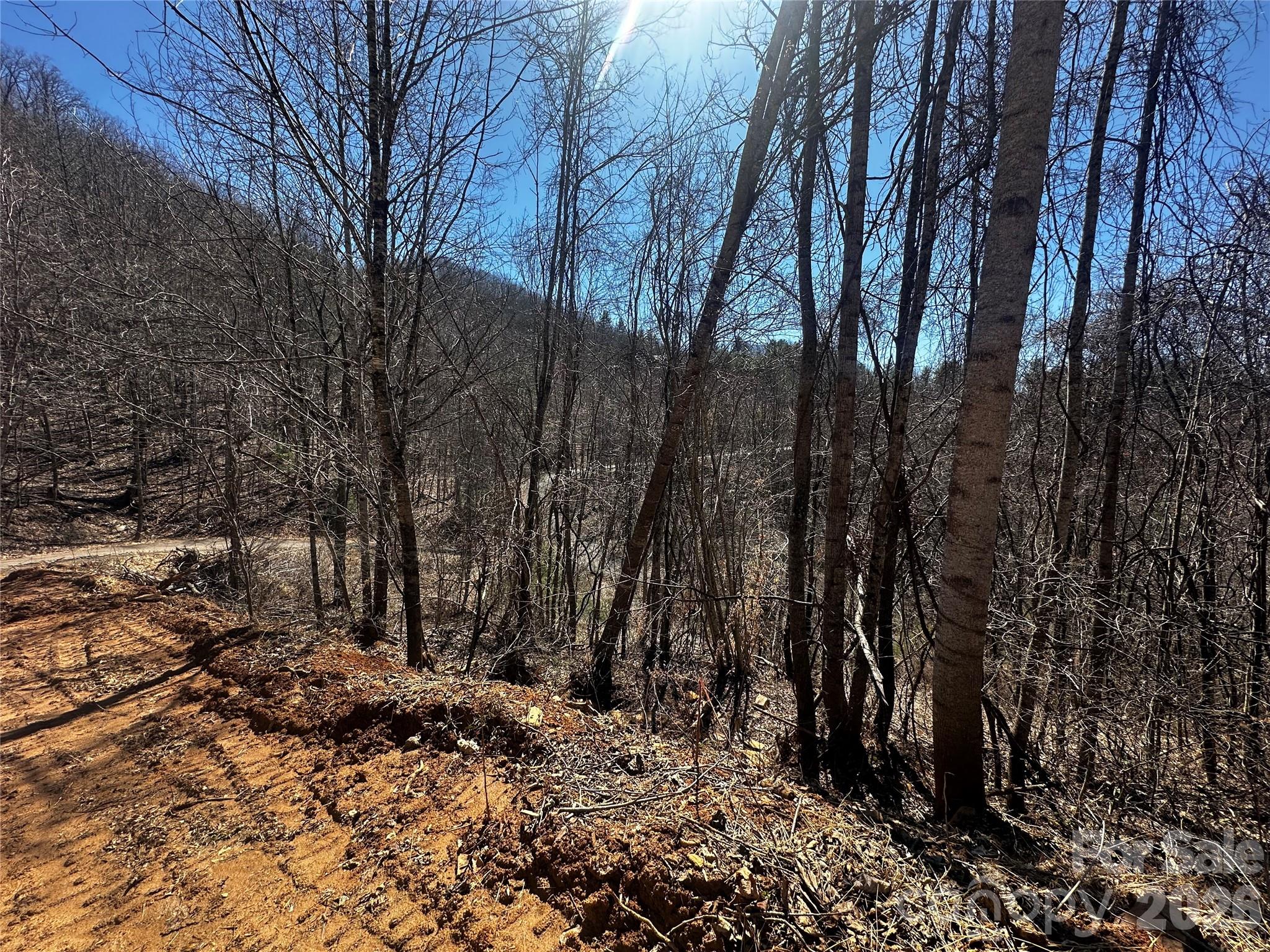 Ashland Mountain - Land