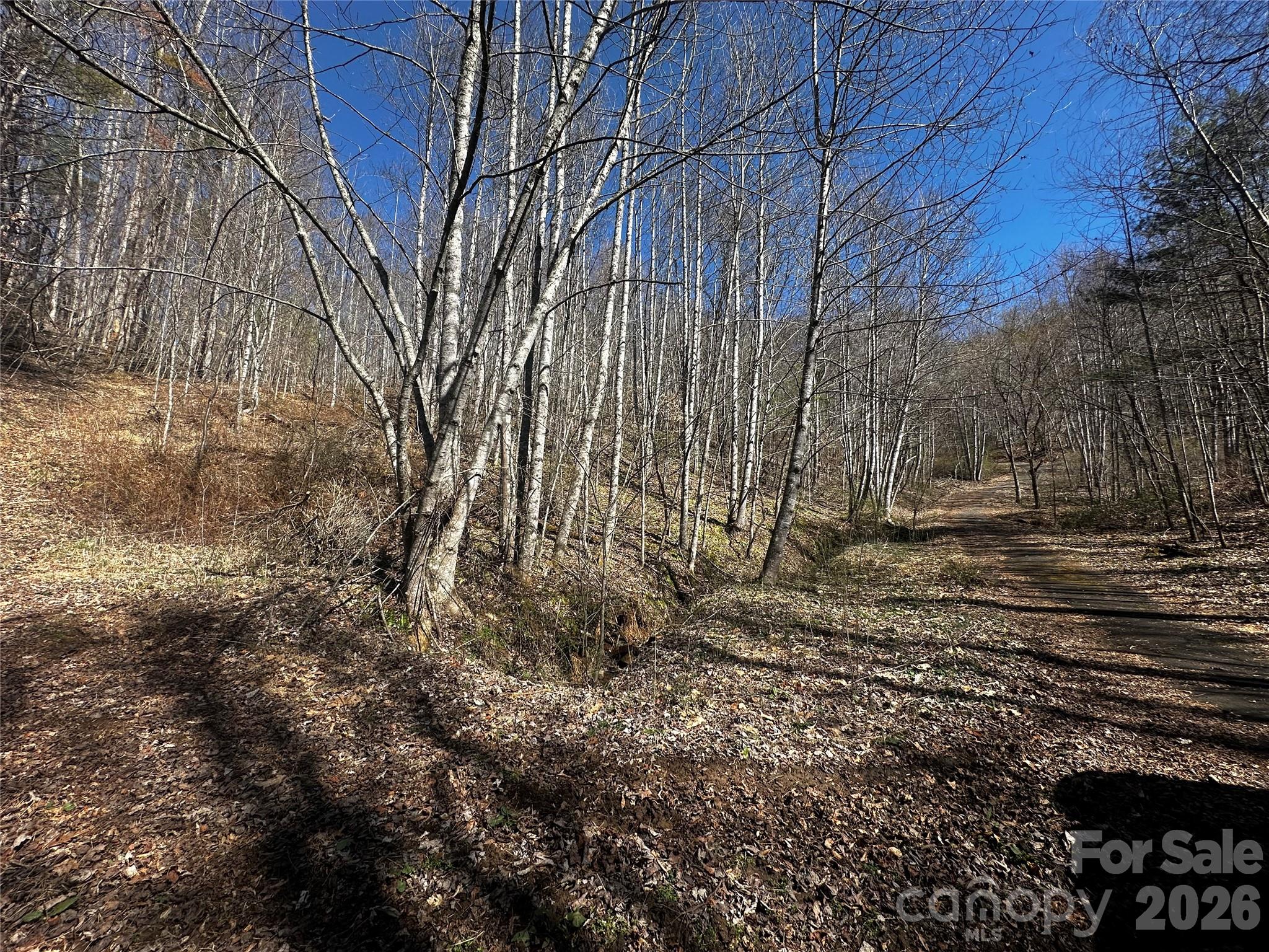 Ashland Mountain - Land