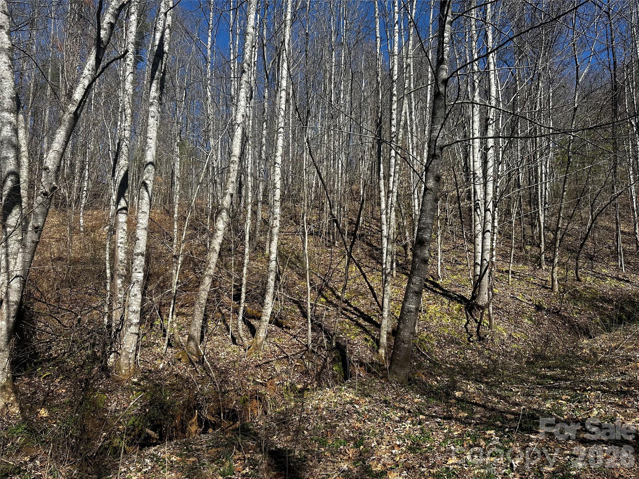 Ashland Mountain - Land