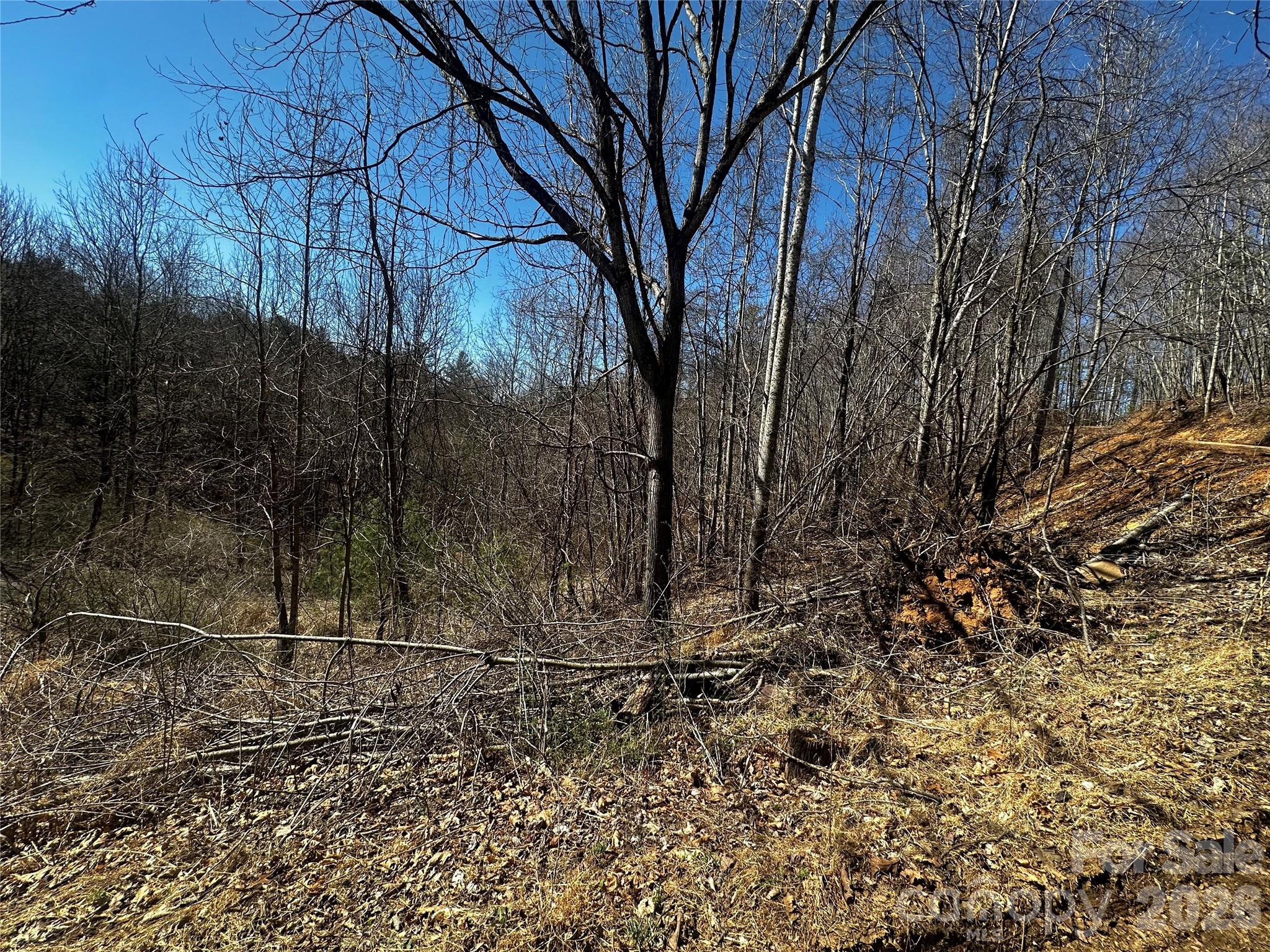 Ashland Mountain - Land