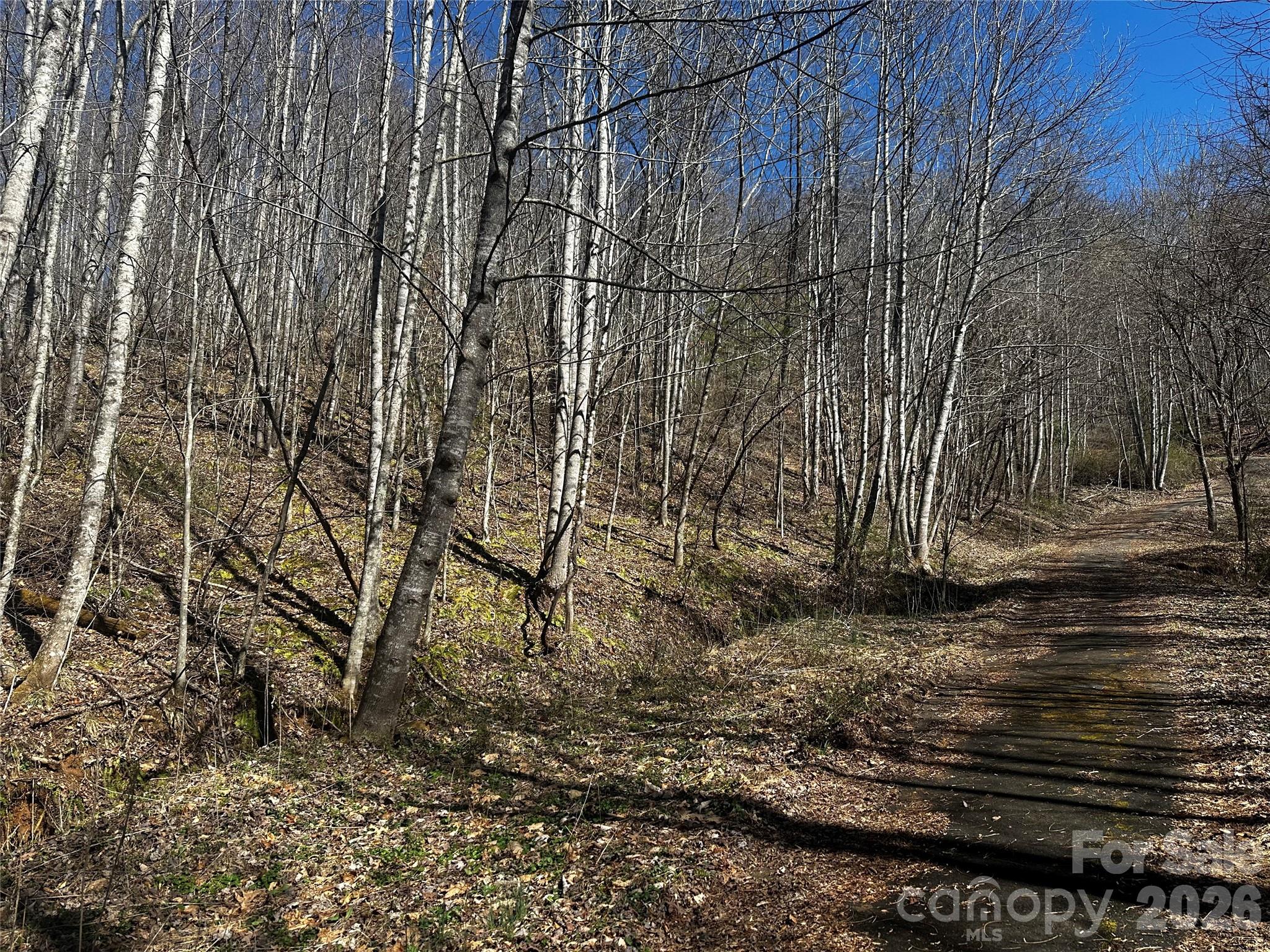 Ashland Mountain - Land