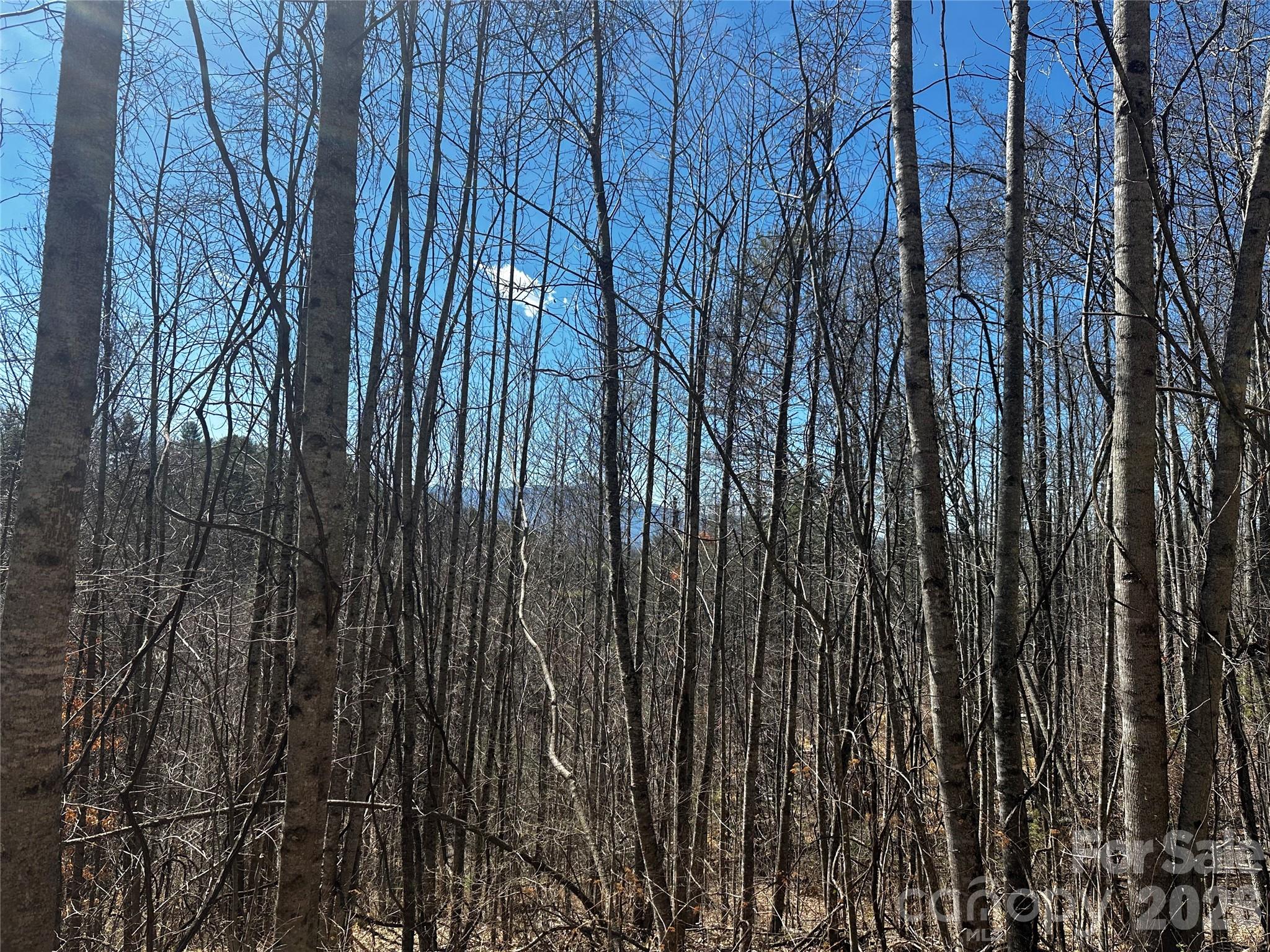Ashland Mountain - Land