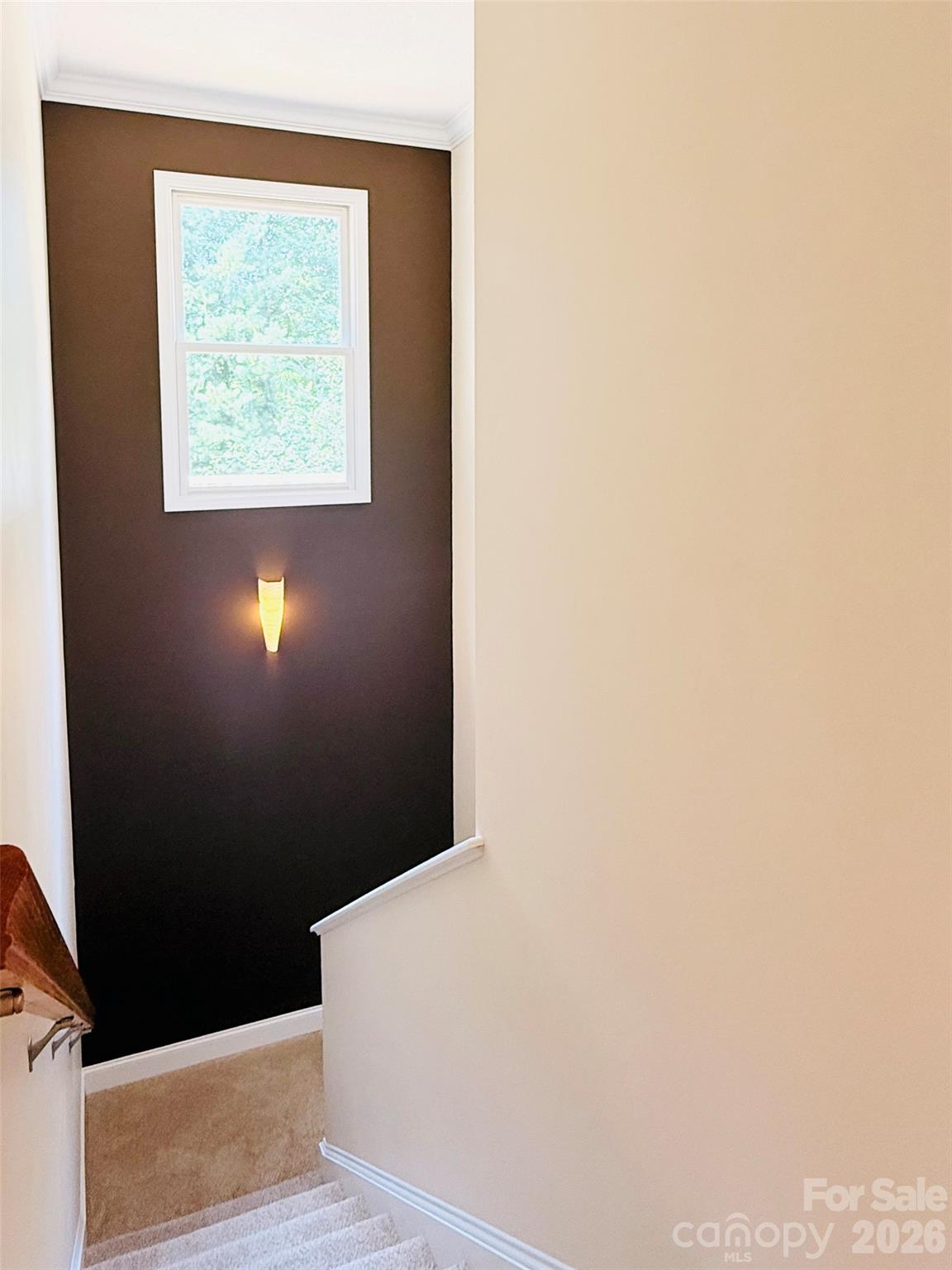 Reems Creek Golf Community - Residential