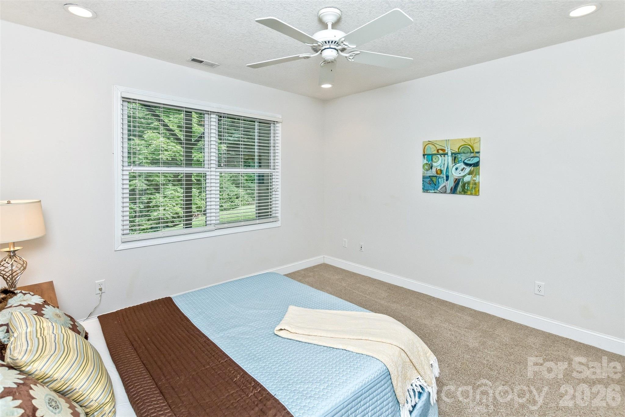 Reems Creek Golf Community - Residential