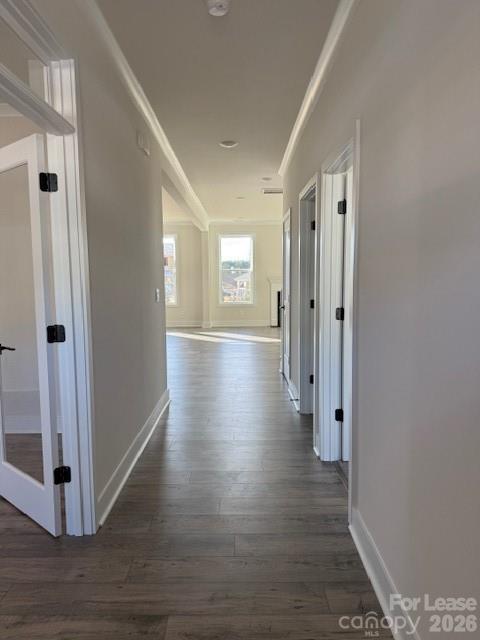 Westport - Residential Lease