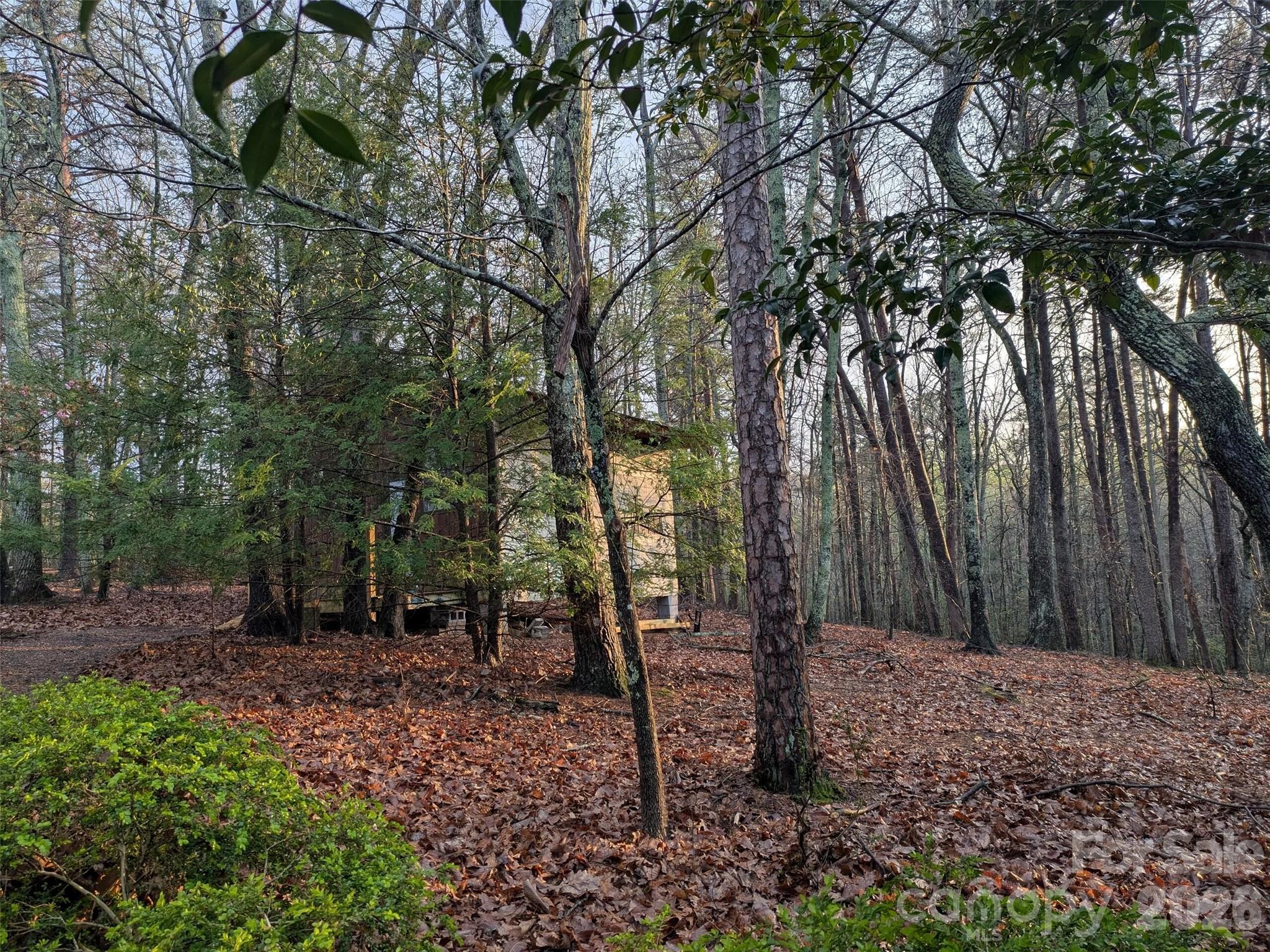 Hunting Wood - Residential
