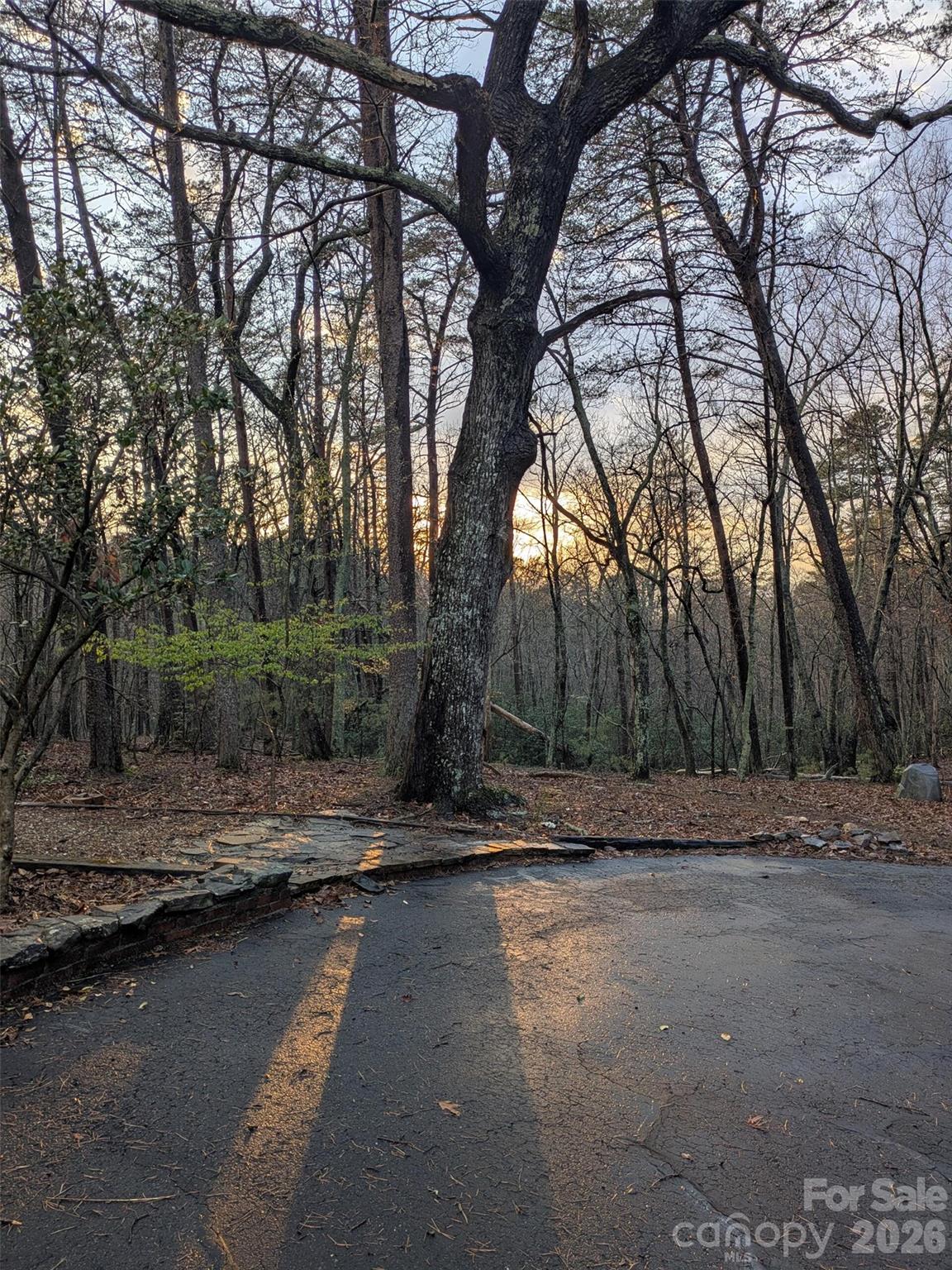 Hunting Wood - Residential