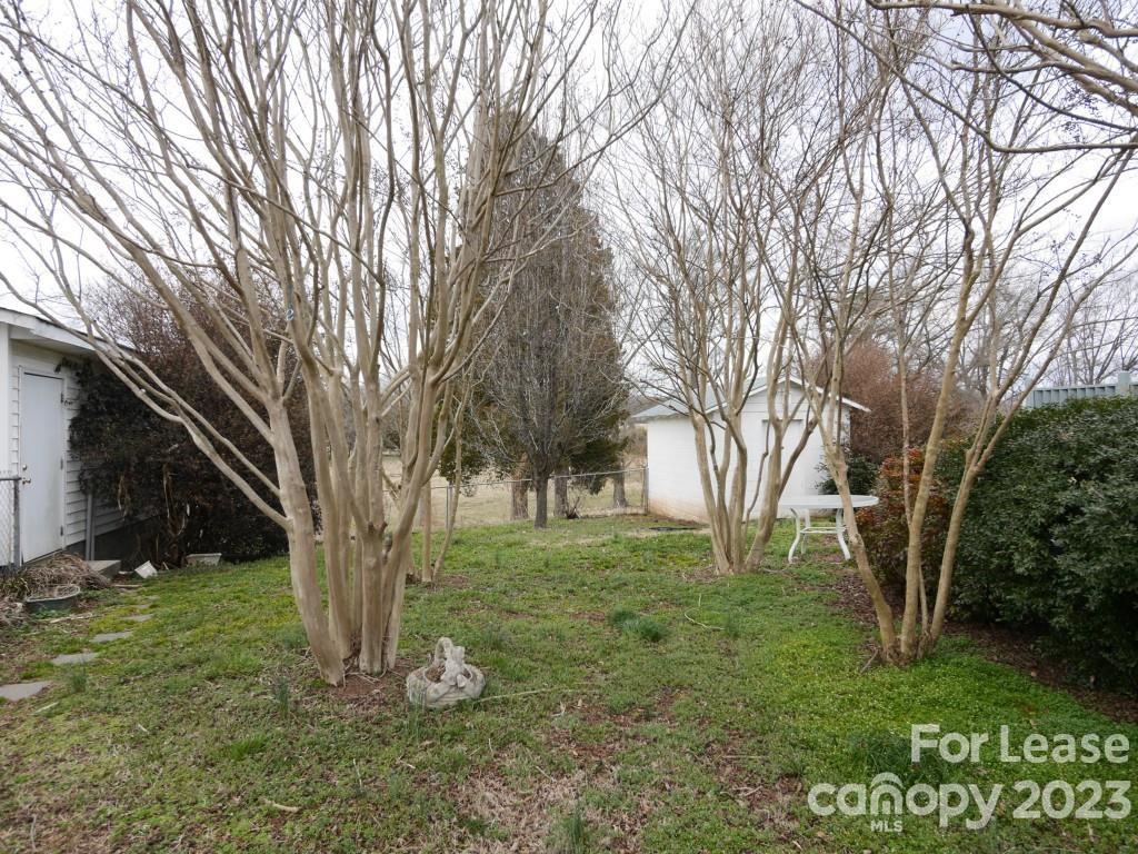 None - Residential Lease