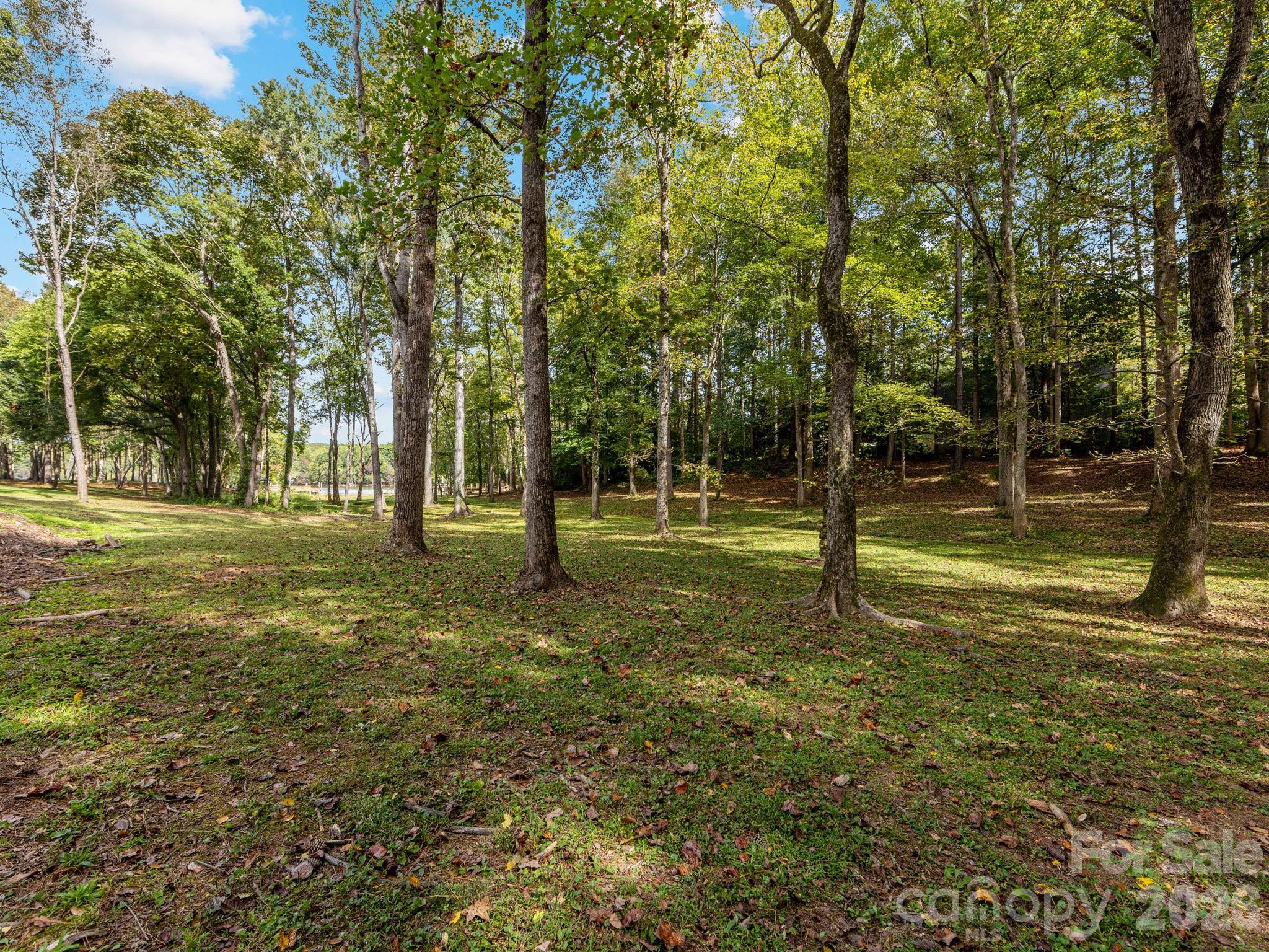 Mountain Point - Residential