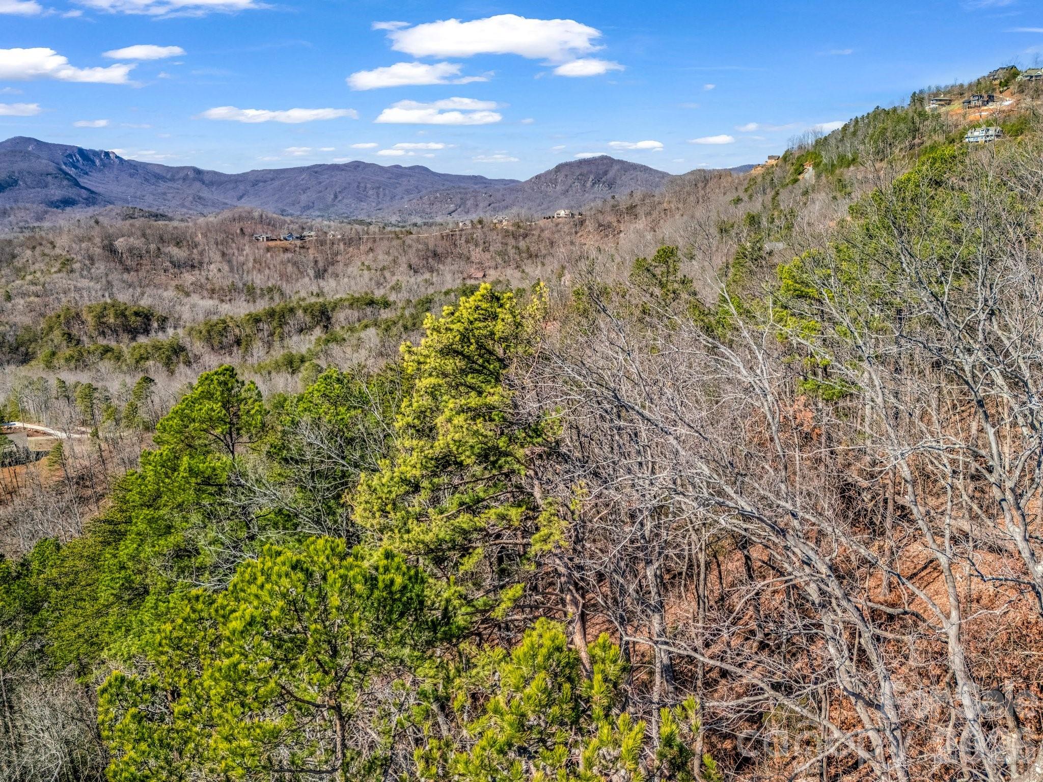 Vista at Bills Mountain - Land