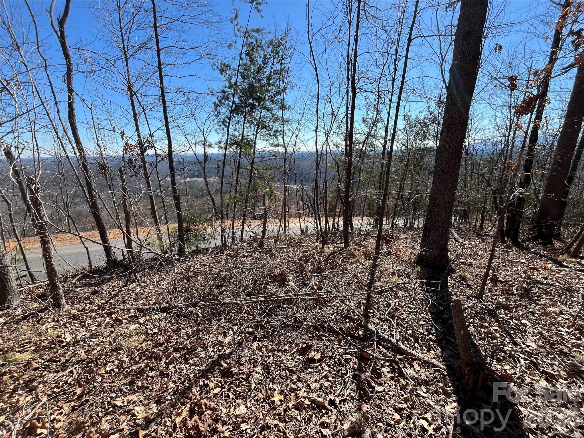 Vista at Bills Mountain - Land