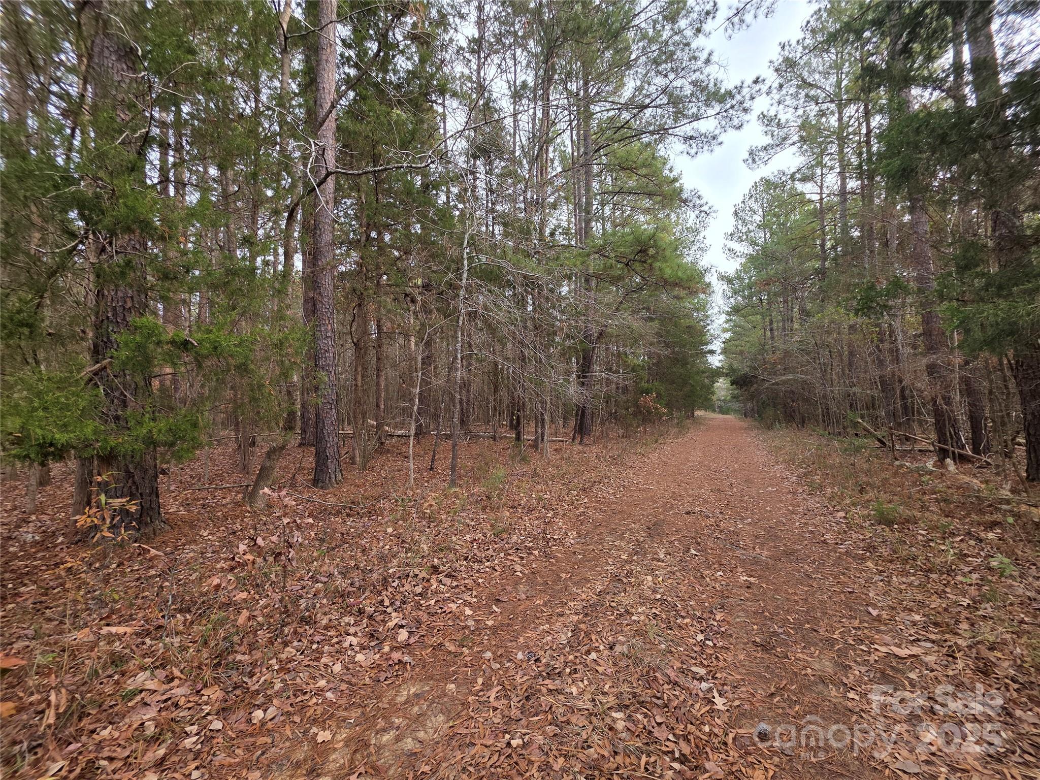Are you ready to build your dream home? Must see this residential 1.5 acre lot located on the north side of town in sought after Lancaster, SC. Enjoy the quiet charm of country living while being only minutes from USCL, downtown Lancaster, local restaurants, shopping, and medical care. Easy access to Hwy 521. Lot is wooded and buyer would need to apply for septic permit, property will need an Engineered Drip System. Please note lot fronts on Kyrie Lane which is county maintained. Lynn Circle is not a maintained road. Bring your home plans, your builder, your dreams, and make this lovely piece of land your own! Call me or your favorite Realtor today to schedule a visit and see all the possibilities waiting for you. Please schedule appointments through showing time before visiting property.
