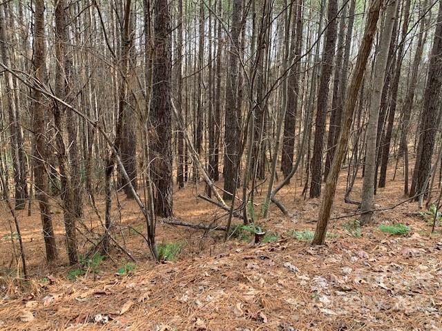 Deer Run at Lake Lure - Land